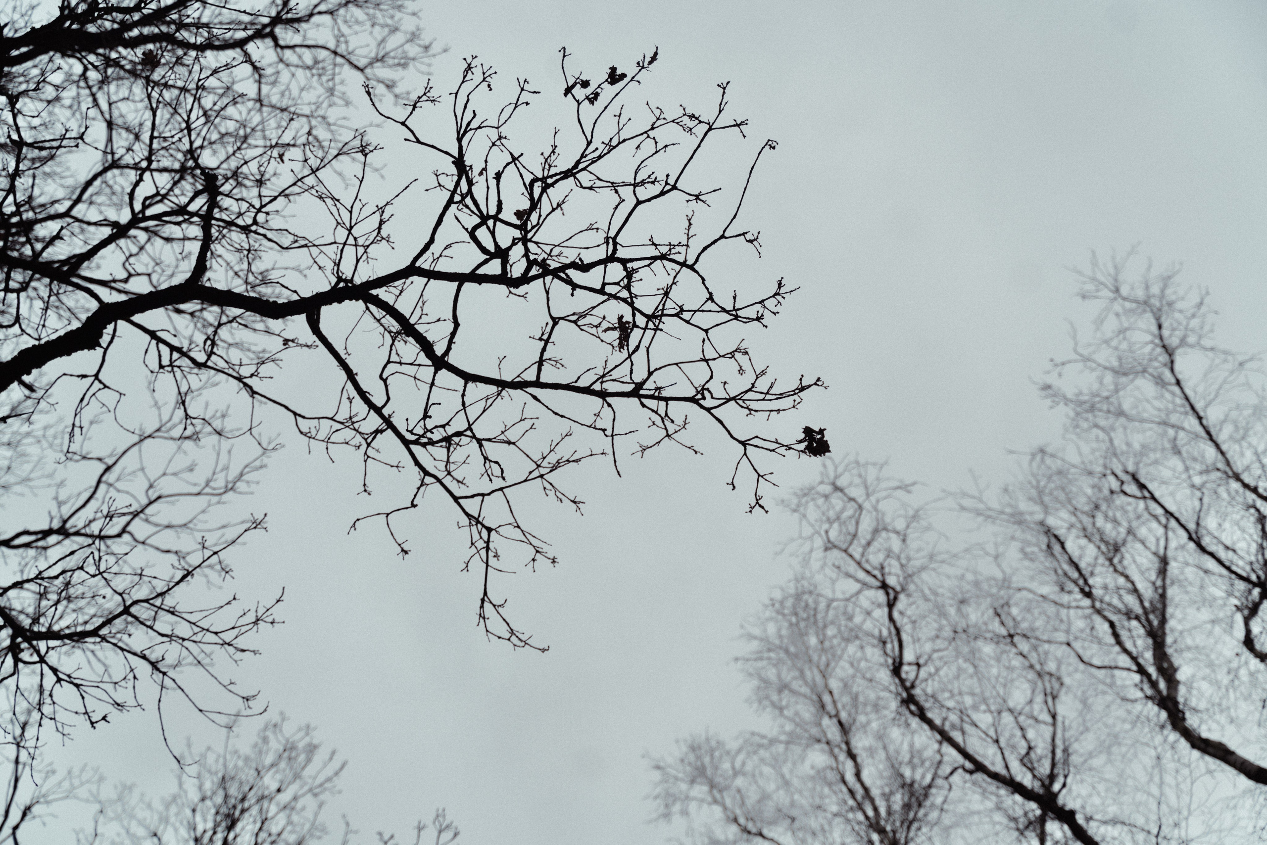 За гранью времен…. FotoTanya. Раменское/Жуковский/Бронницы