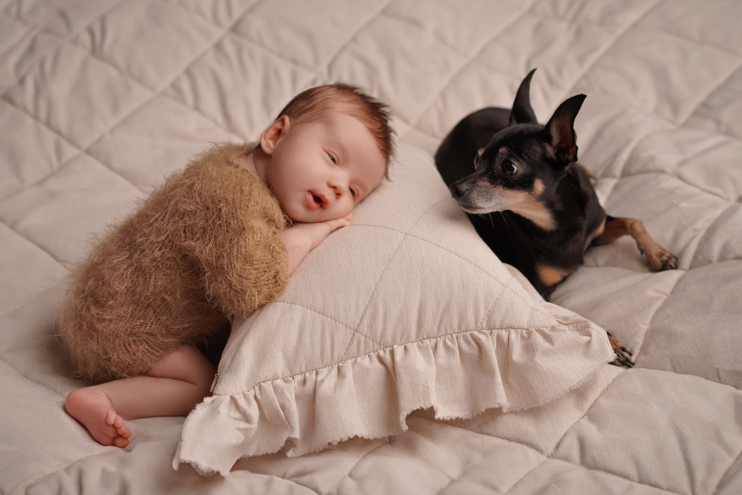 Фотосессия новорожденного с собакой. Фотограф новорожденных беременных в Тюмени Ткачук Татьяна