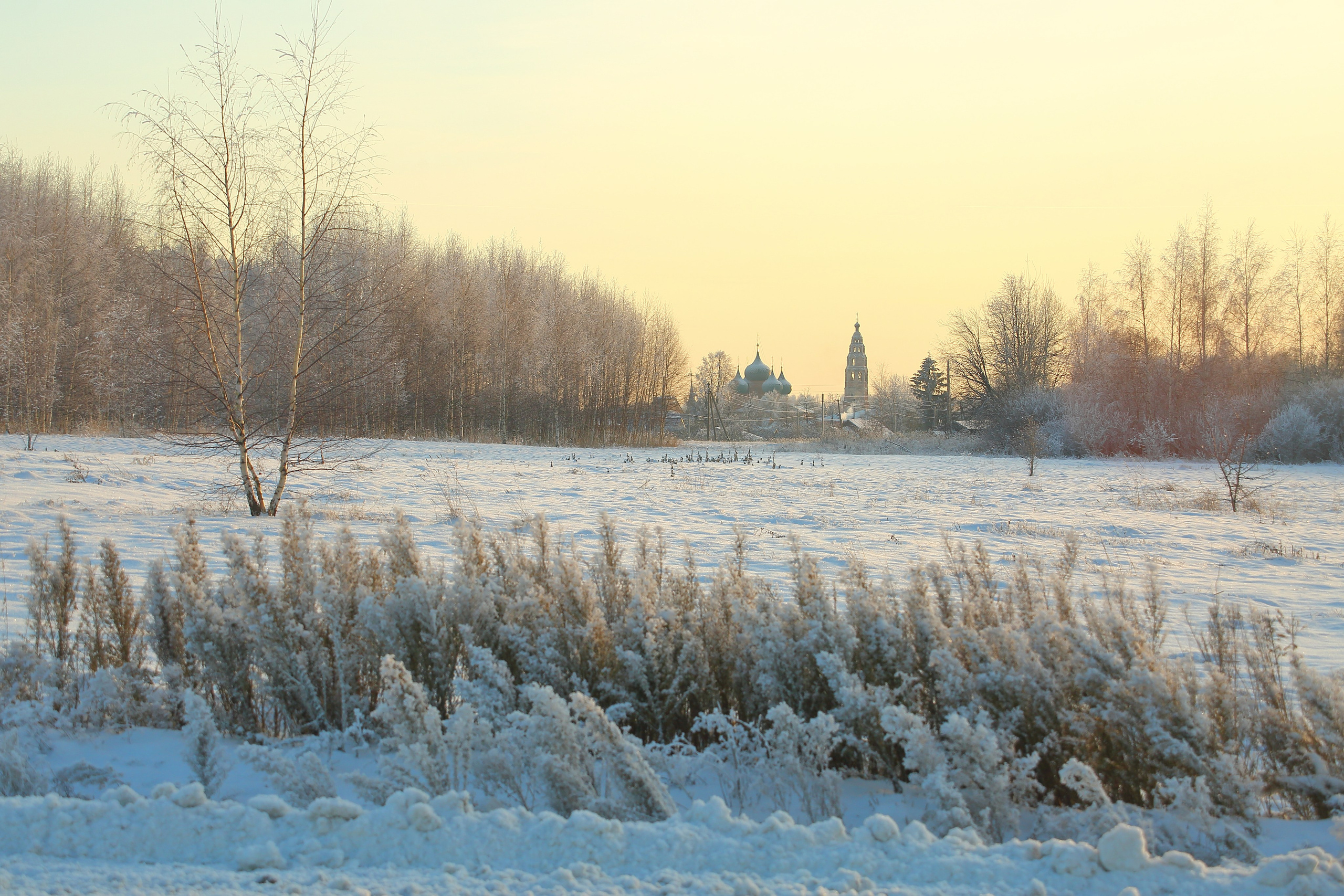 Средняя полоса. Свадебный и репортажный фотограф в Ярославле и Санкт-Петербурге Роман Микрюков