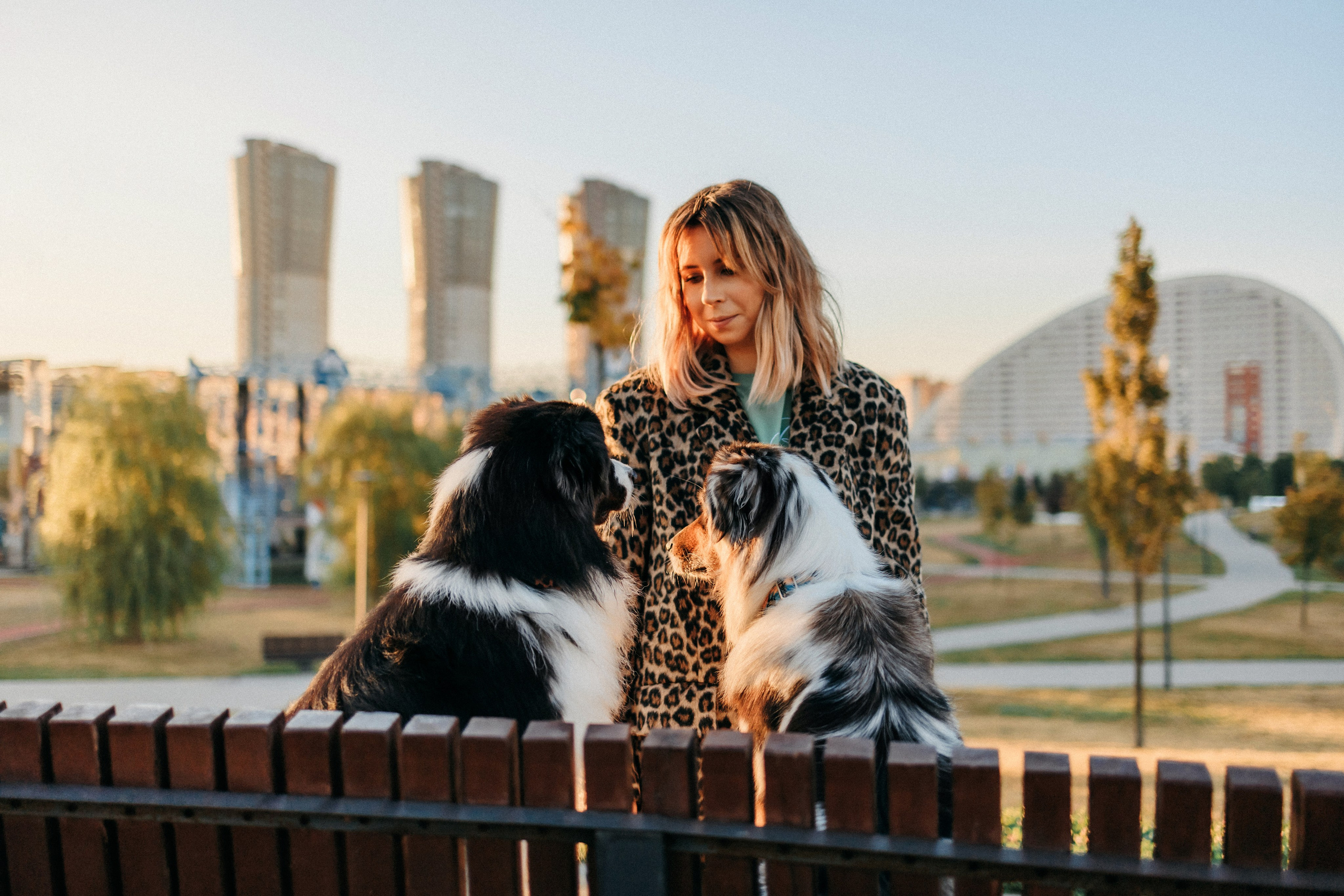Аня, Чарли и Ева. Фотограф-анималист Елена Радченко, Москва