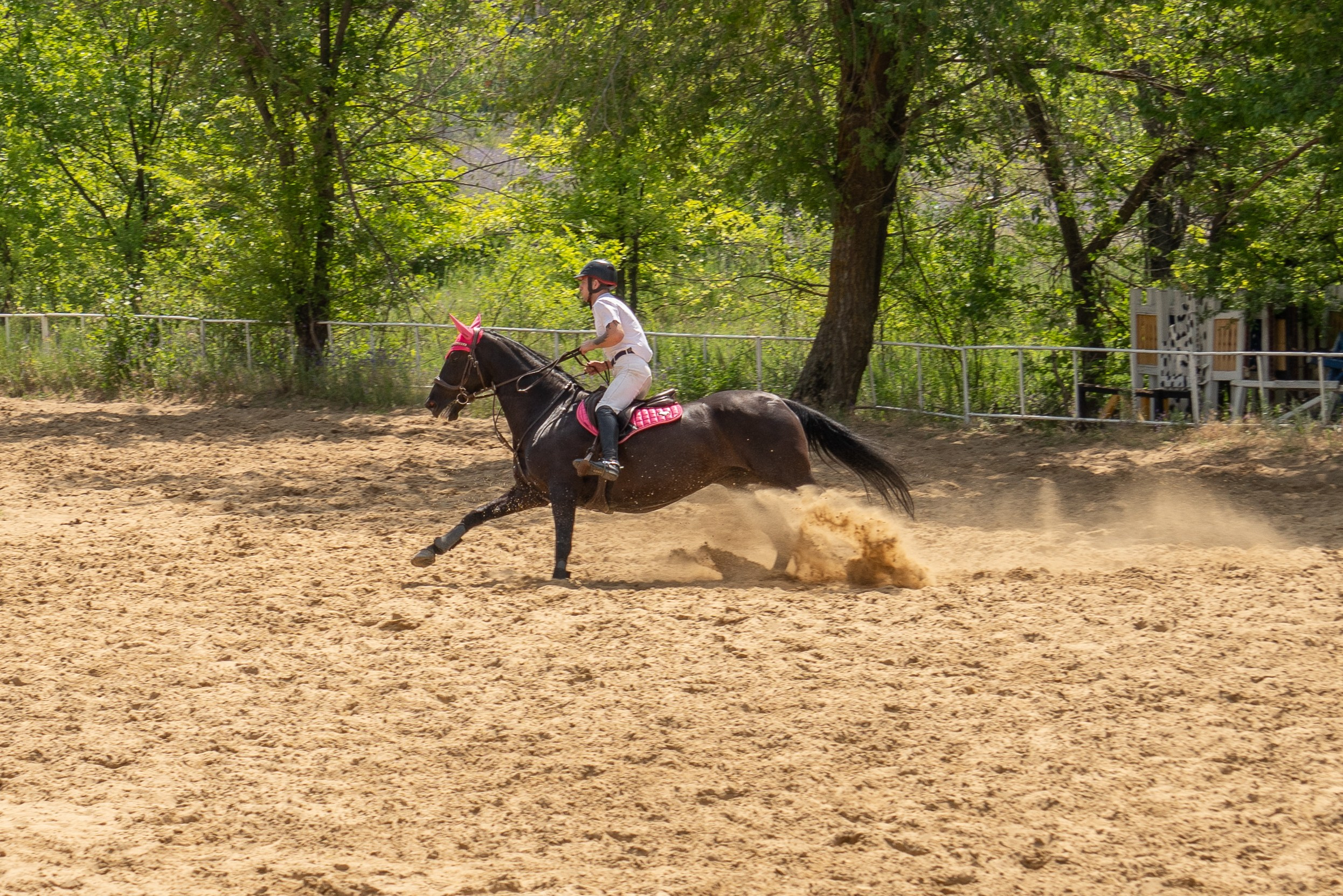 Соревнования по конкуру, Луганск. Фотограф в РФ и ЛНР Юлия Федосеева
