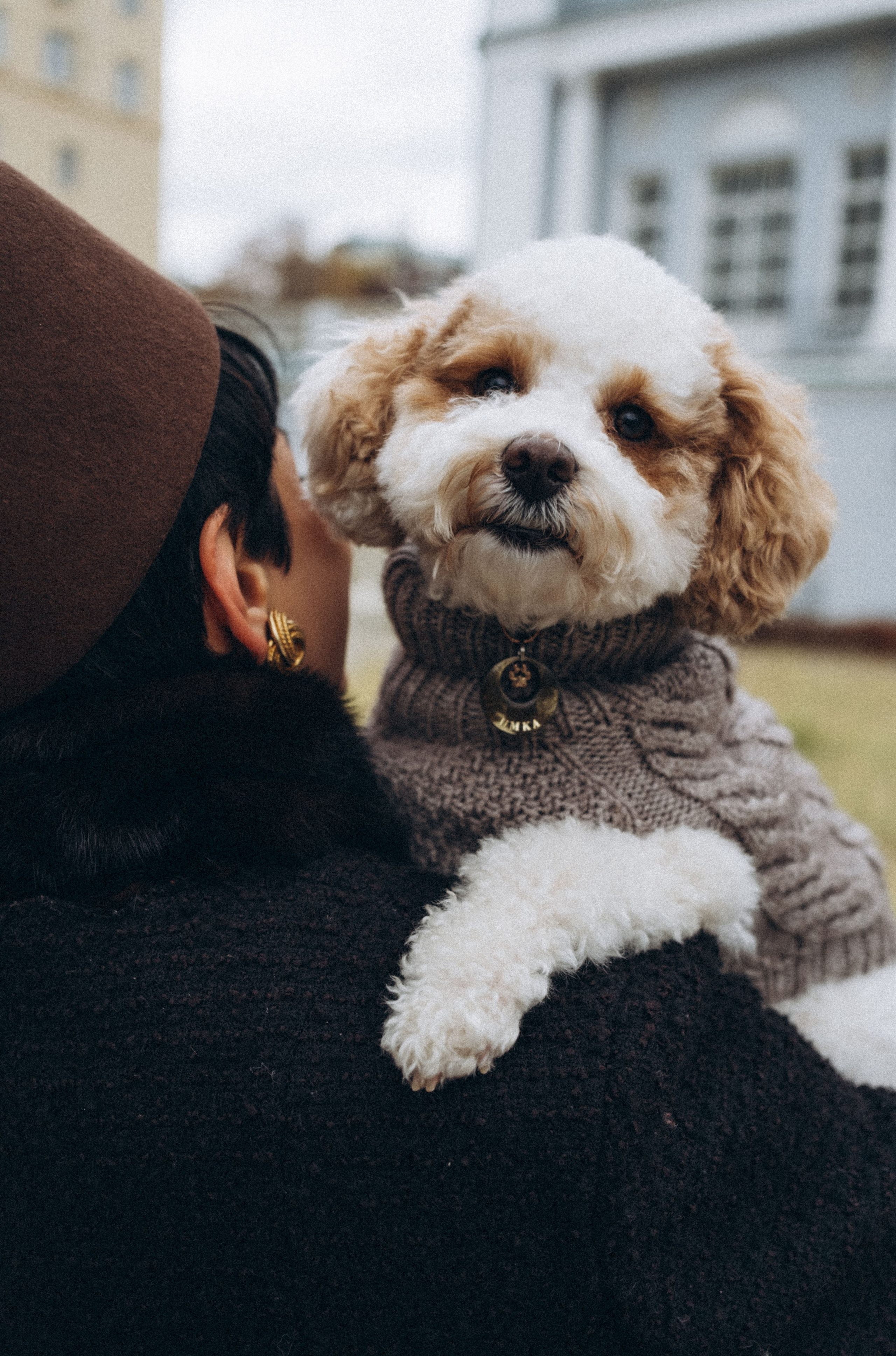 Амина и Умка. Семейный фотограф и анималист в Москве Анна Иванова