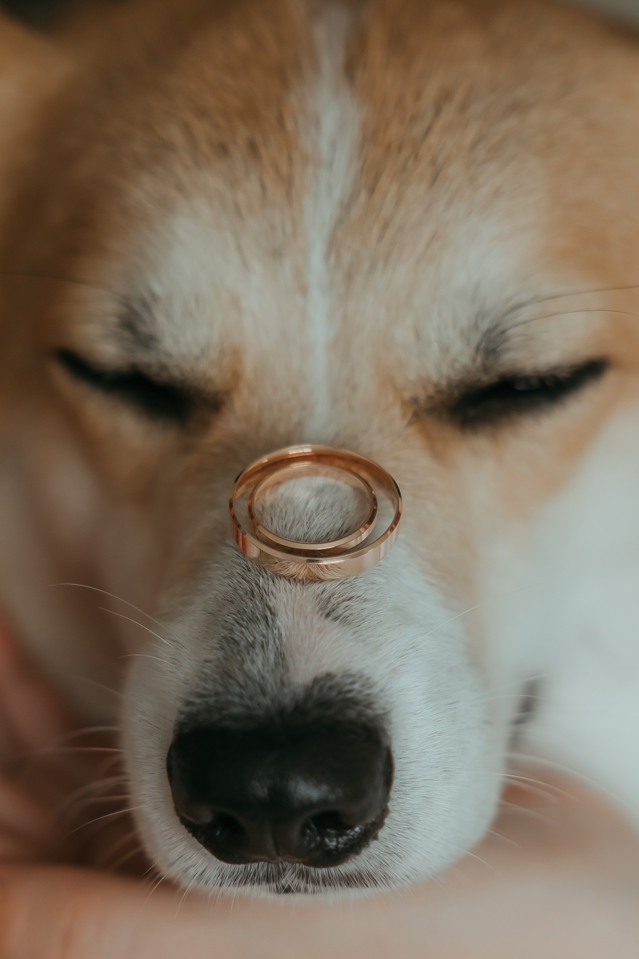 Вова и Оля. Ольга Шундеева — фотограф