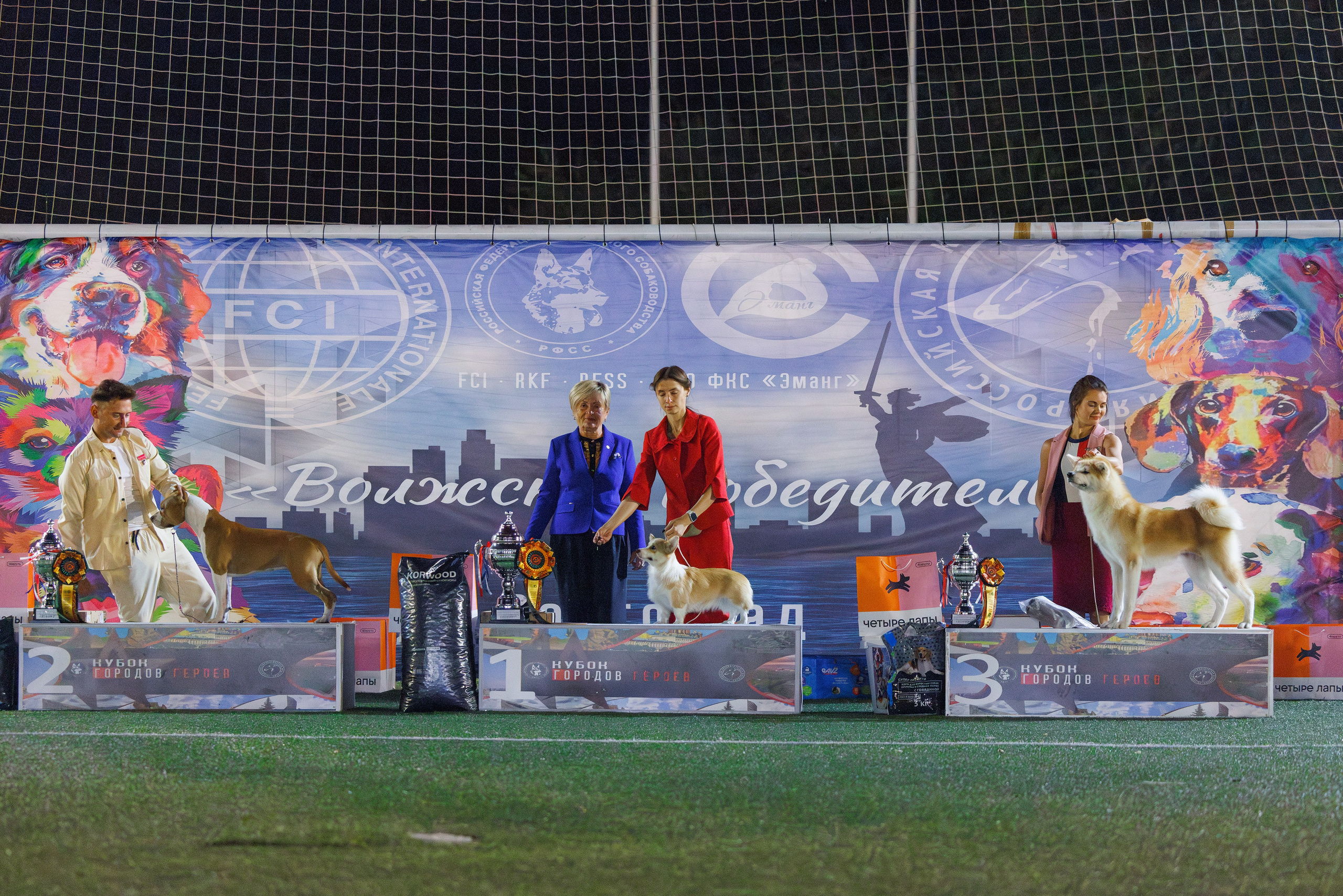 Волгоград 2-4.08.2024. Фотограф-анималист Юлия Германика