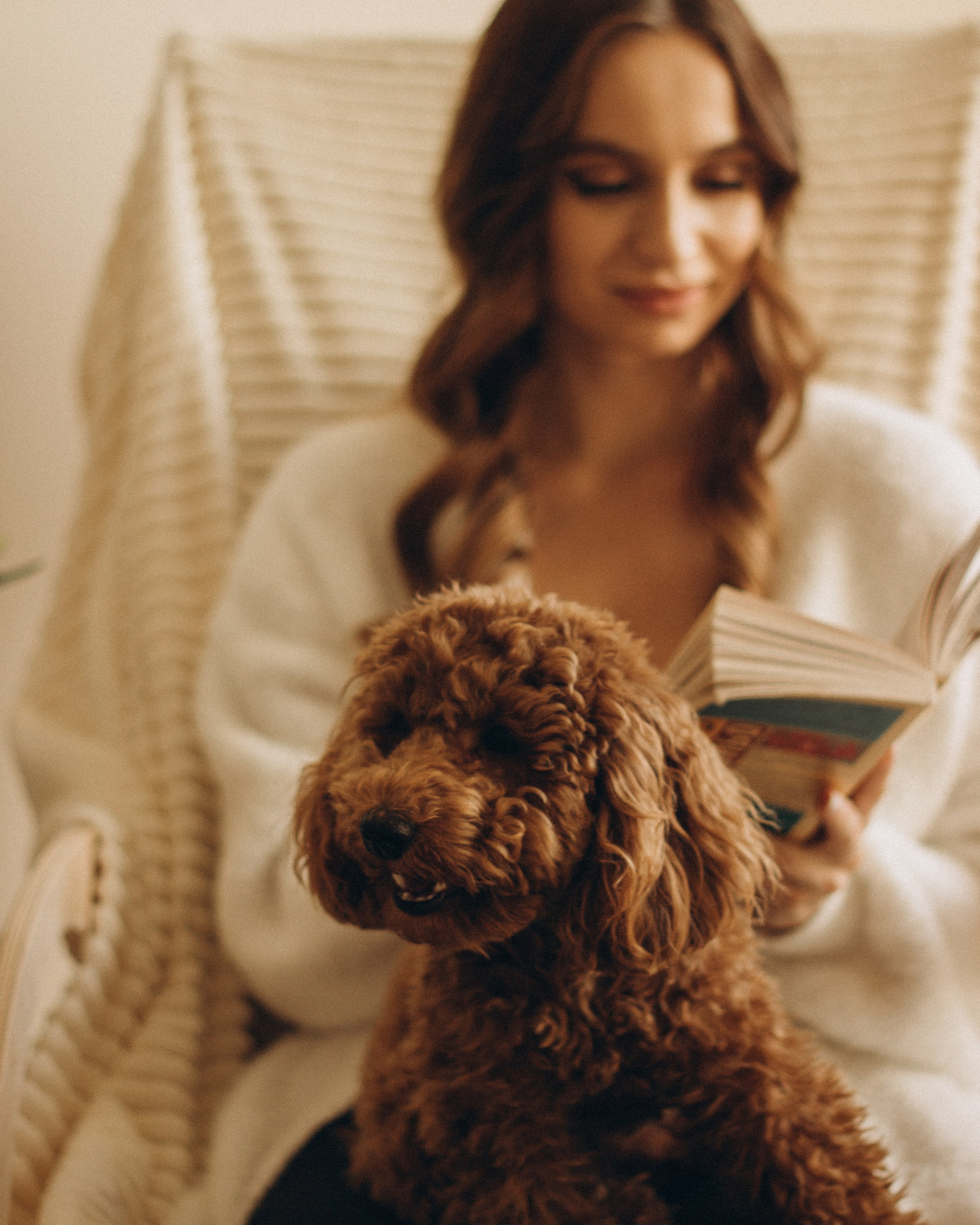 Пушистая история Гречки. Семейный фотограф в Нижнем Новгороде