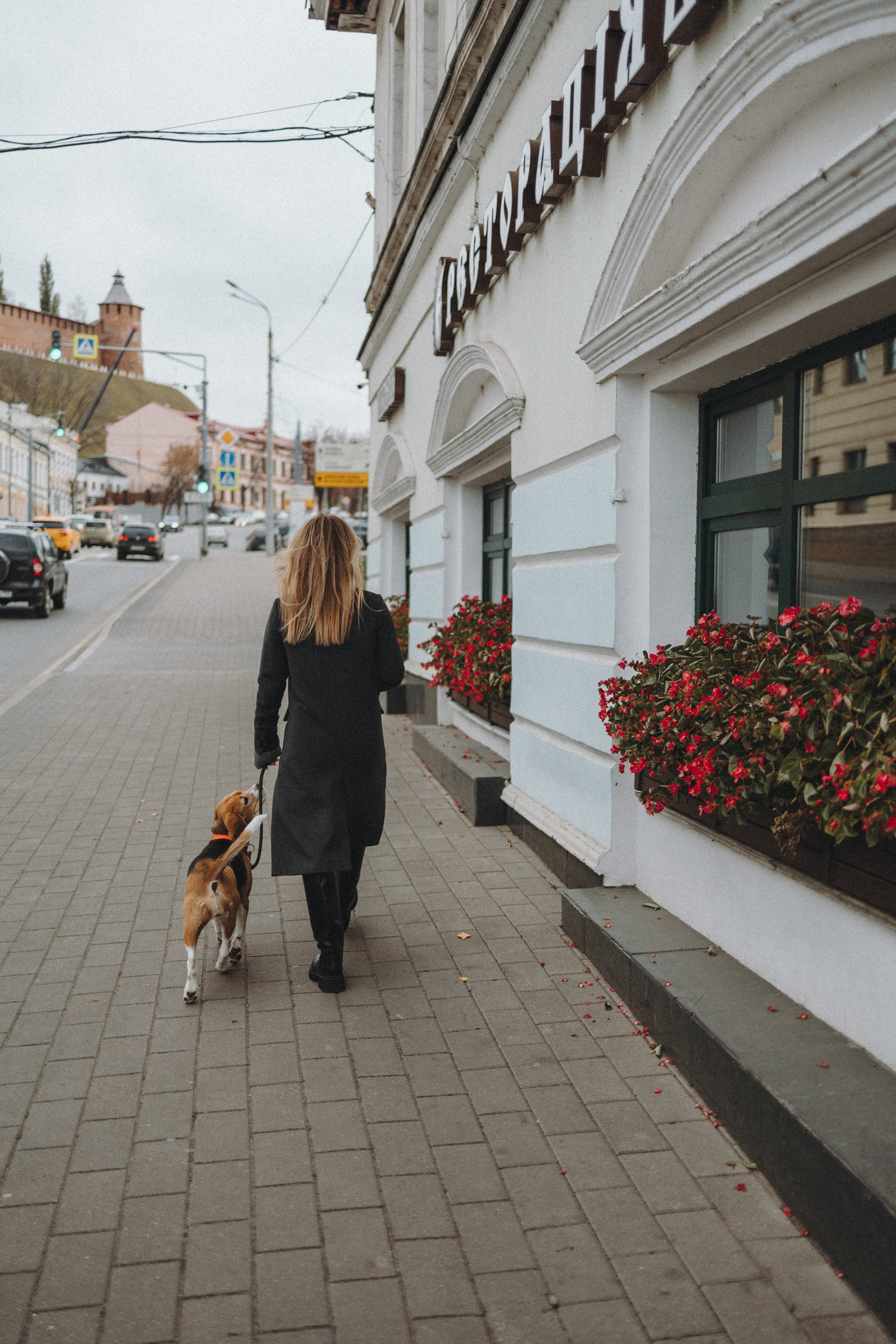 Аня и Моня. Фотограф — анималист Светлана Кысса|фотограф собак в Краснодаре и Нижнем Новгороде