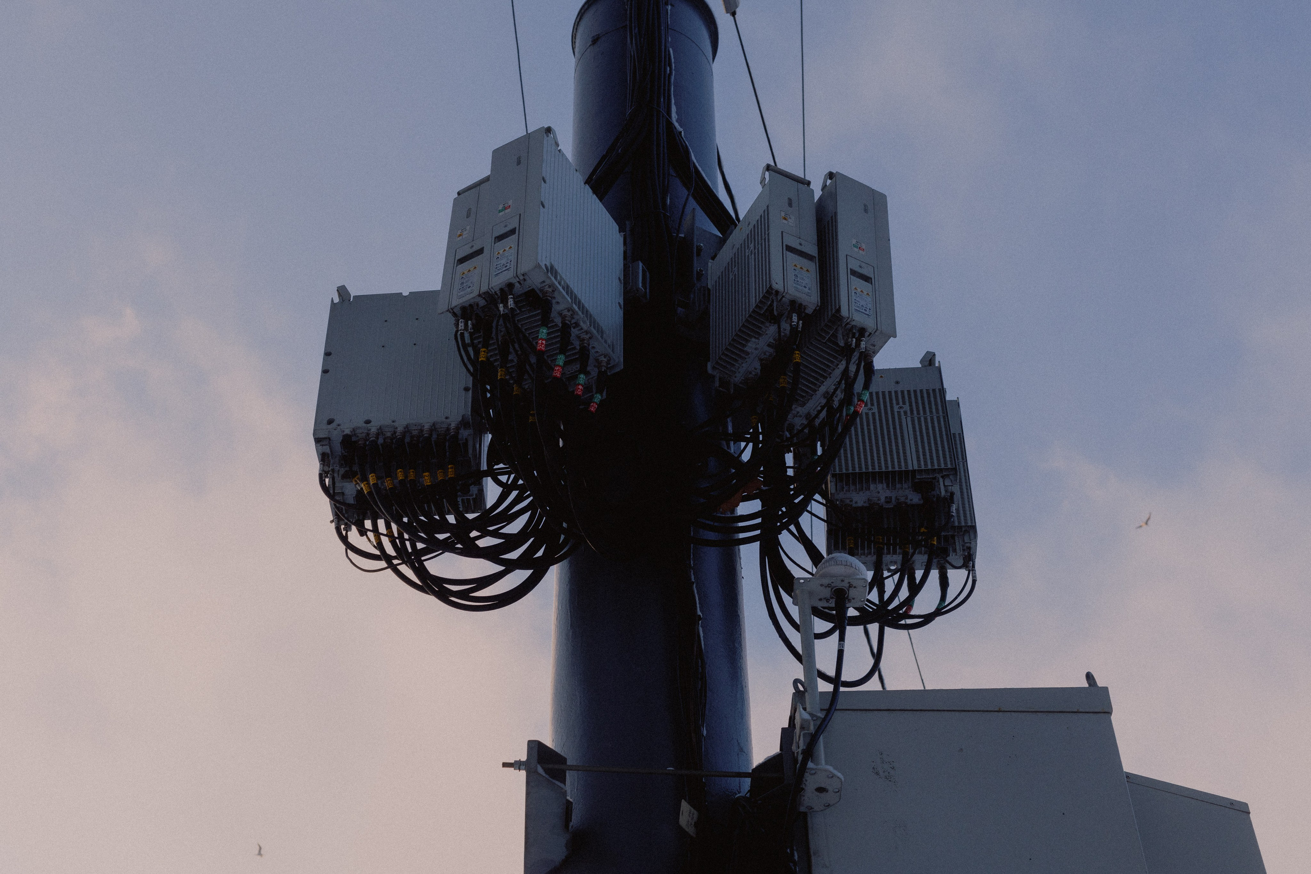 № 25. WAYHAY — Портретный фотограф