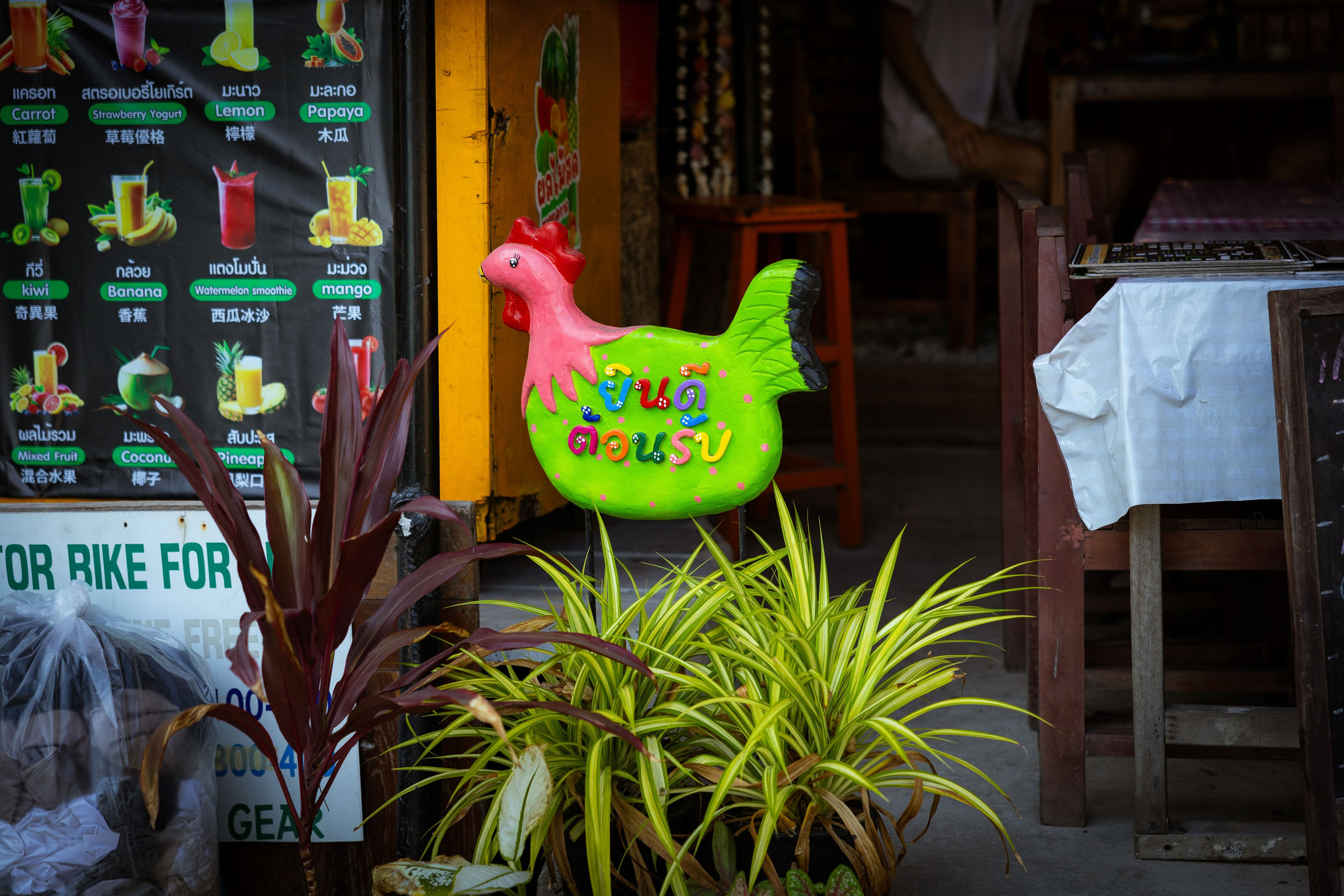 Таиланд (зима 2025). Фотограф Виноградов Константин