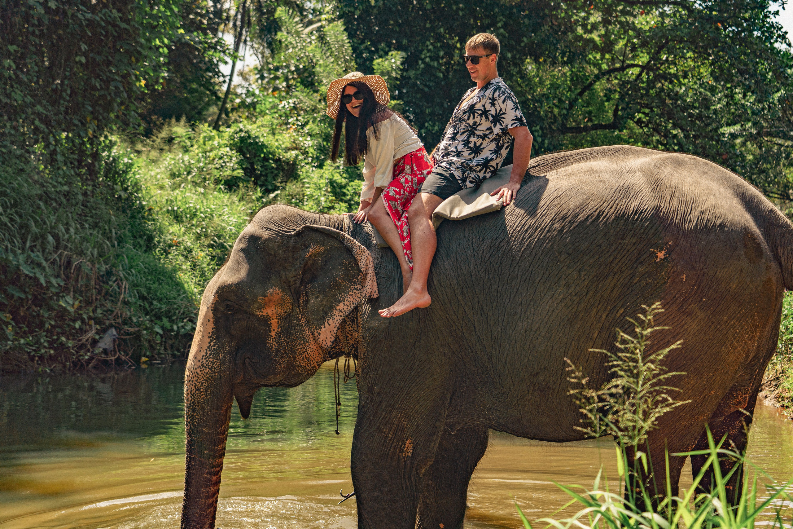 Bathing with elephants in Pinnawala, Botanical Garden