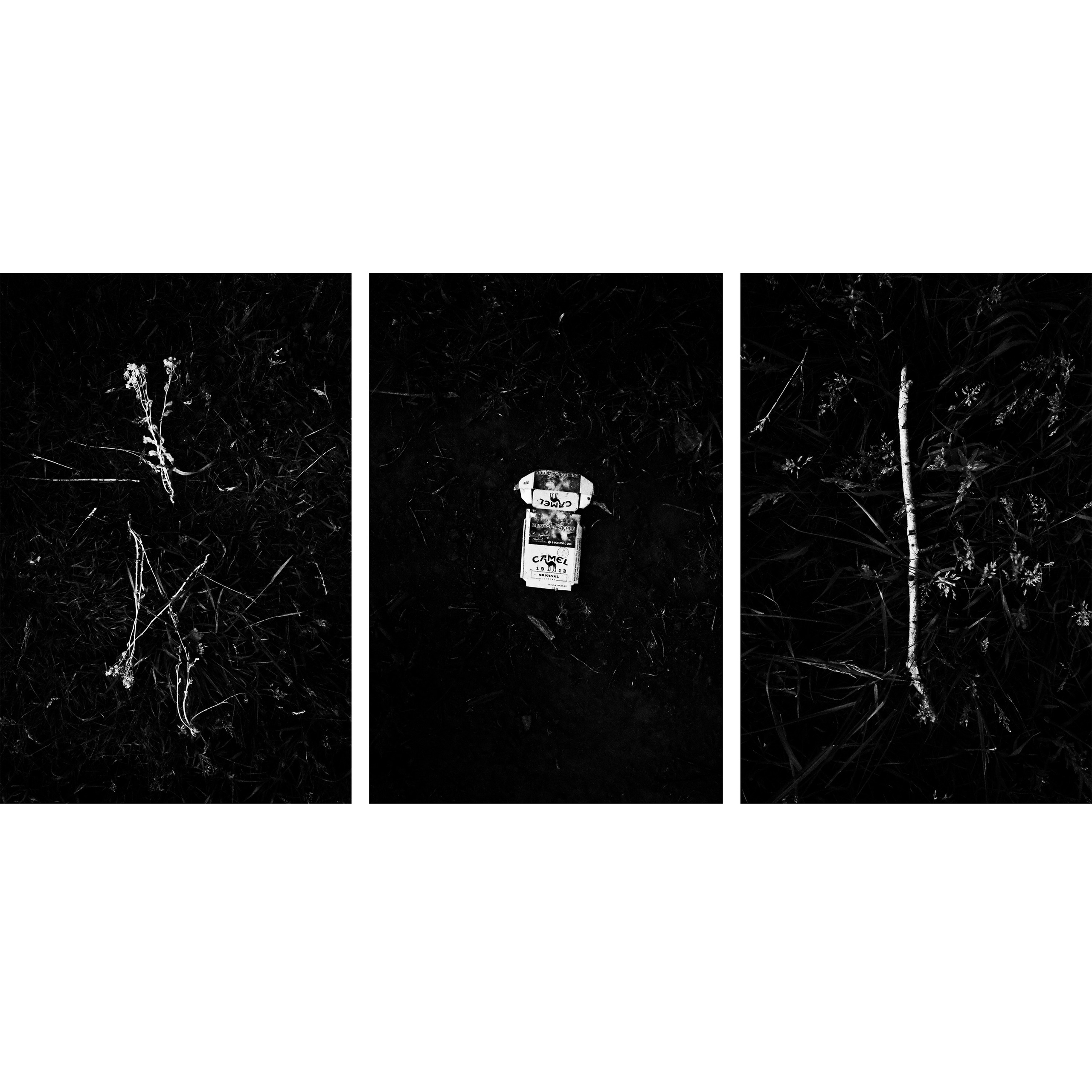 Дощечки. Полиптихи разных лет. Артём Линейцев, фотограф