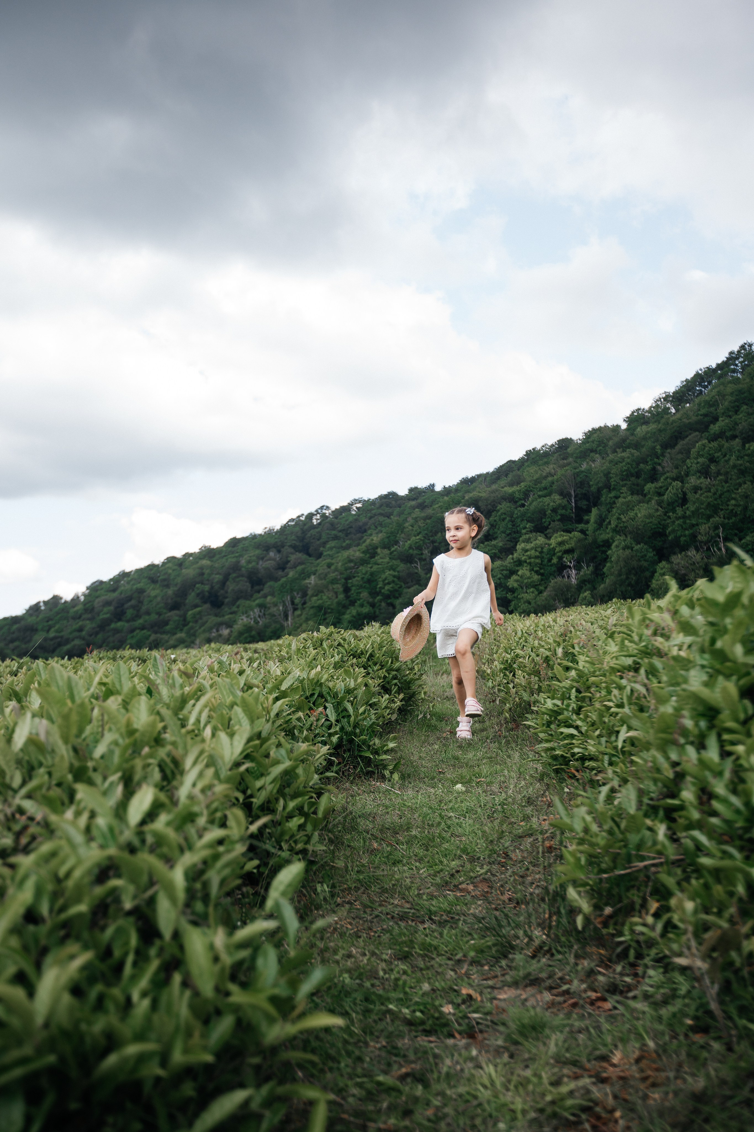 Tea plantation. Efimova Model Agency