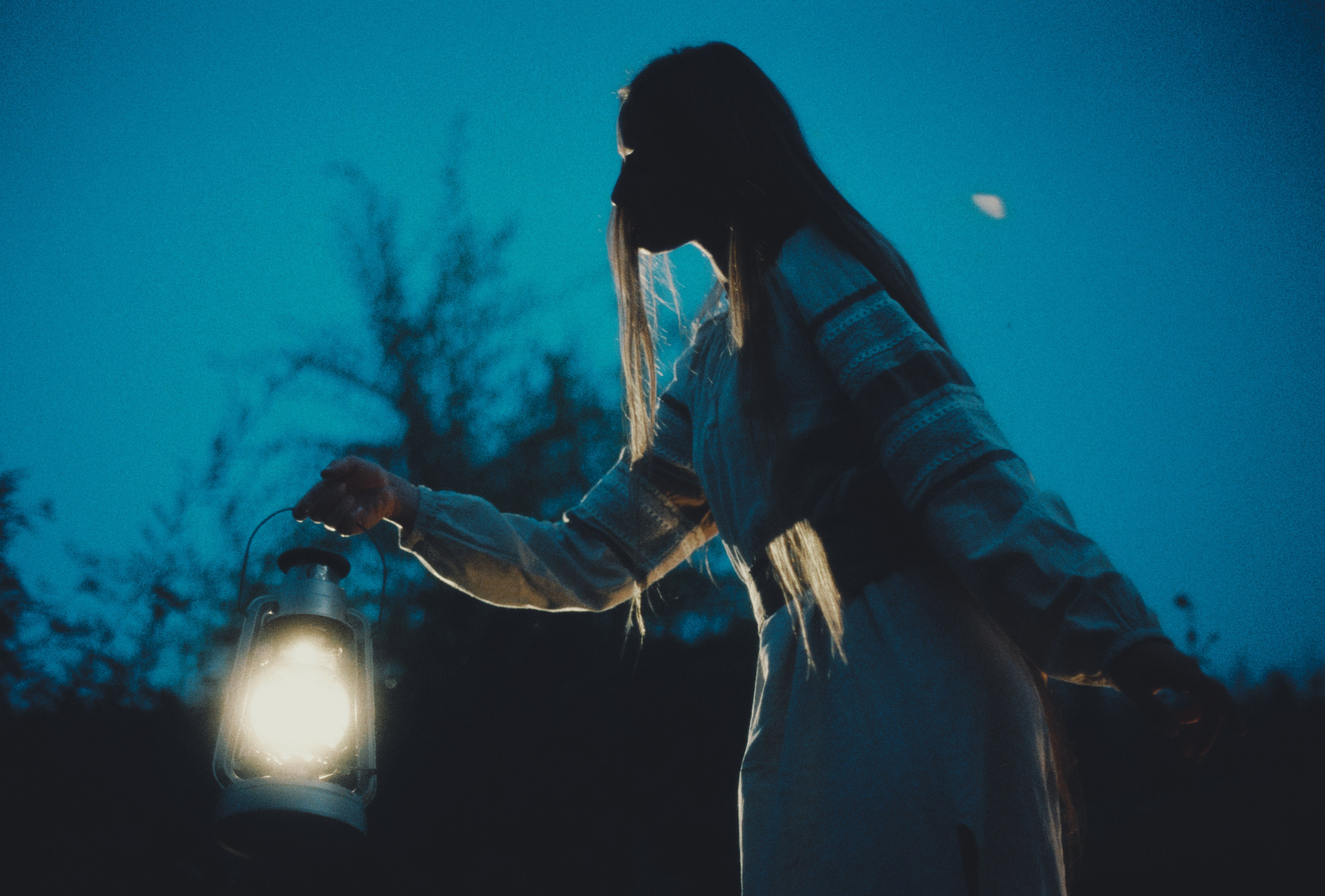 Пленочная история. Дмитрий Пропадалин, Нейрофотография