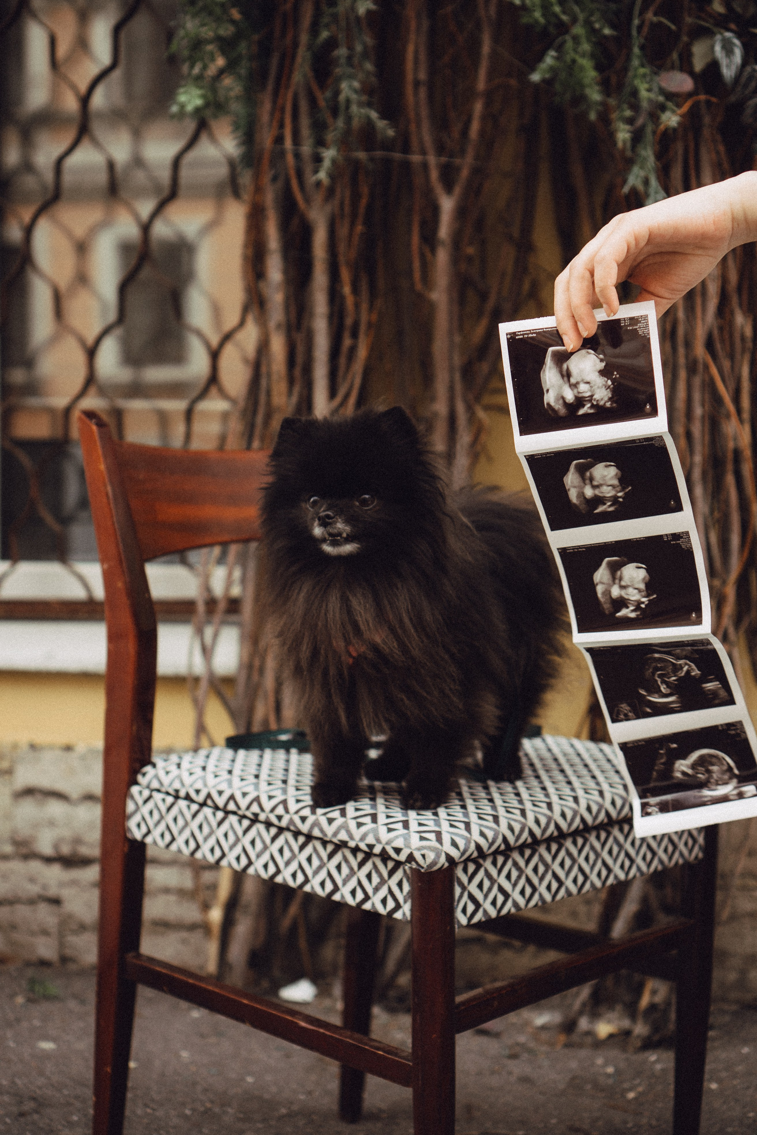 Беременность (только часть фото по желанию клиентов могу показать)). Профессиональный фотограф, Санкт-Петербург — Виктория Богомолова