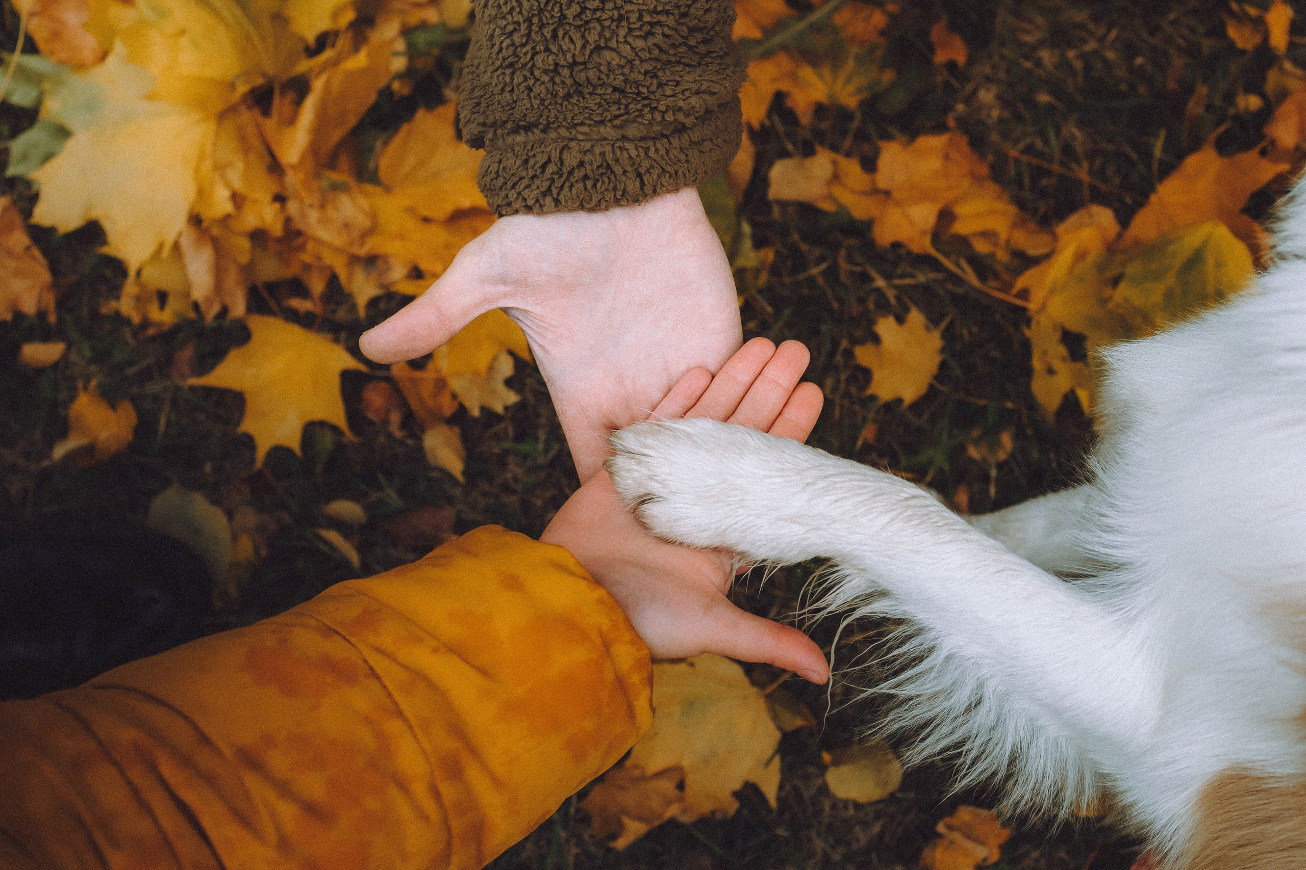 Алина, Витя и Асти