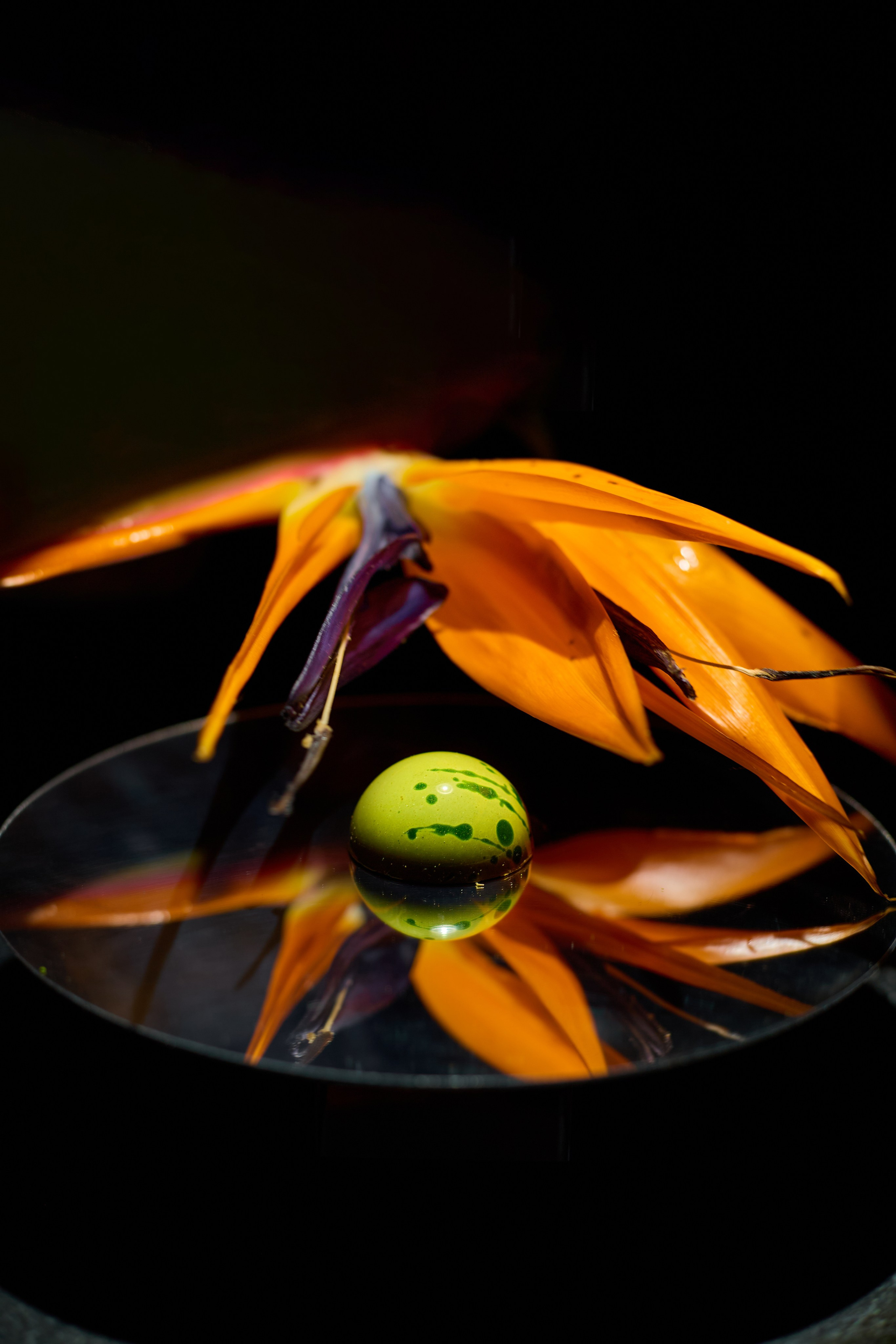 My Sweet Zen. Фотограф|Москва-СПб| Анастасия Рябинина