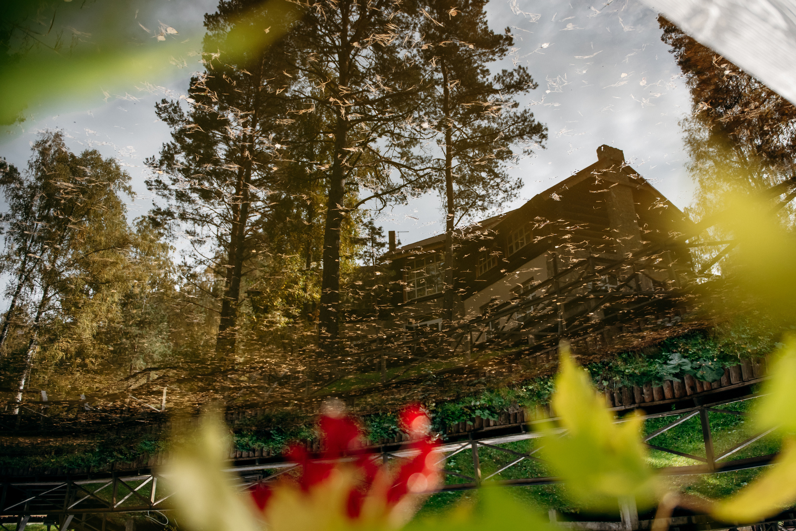 Герман и Анастасия, Алтай 2018. Свадебный фотограф Наталья Доронина