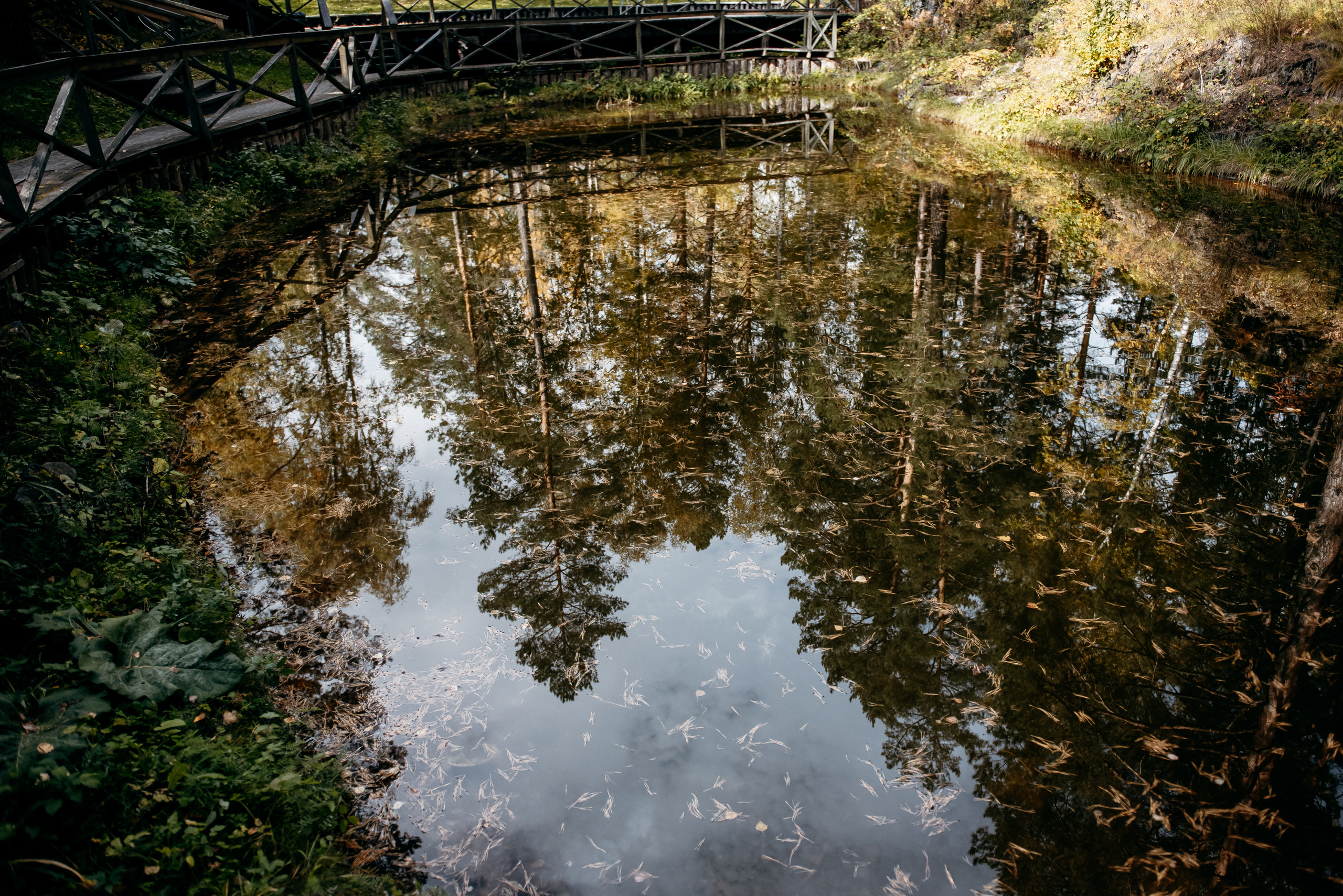 Герман и Анастасия, Алтай 2018. Свадебный фотограф Наталья Доронина