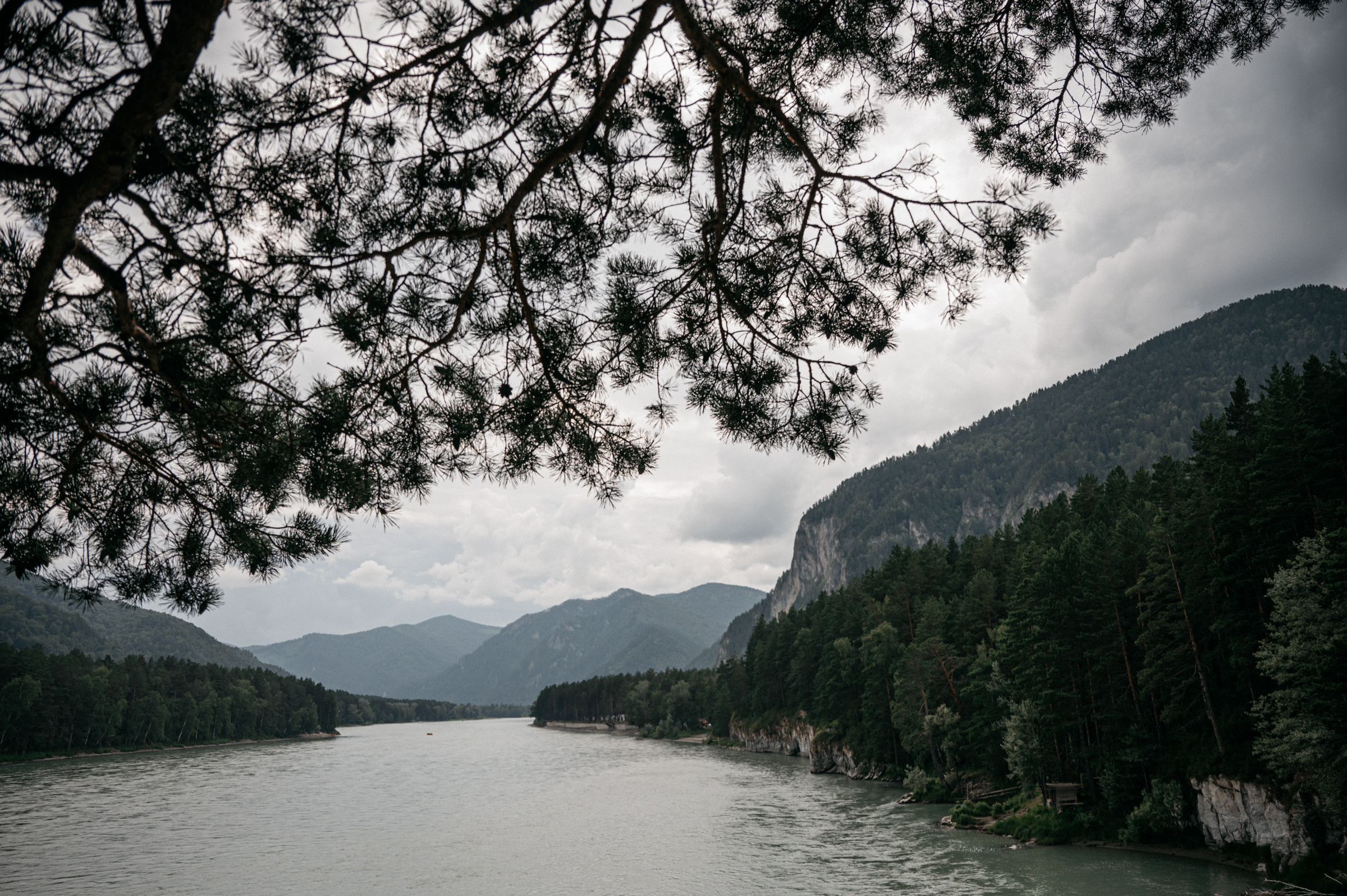 Дима и Аня, Алтай. Свадебный фотограф Наталья Доронина