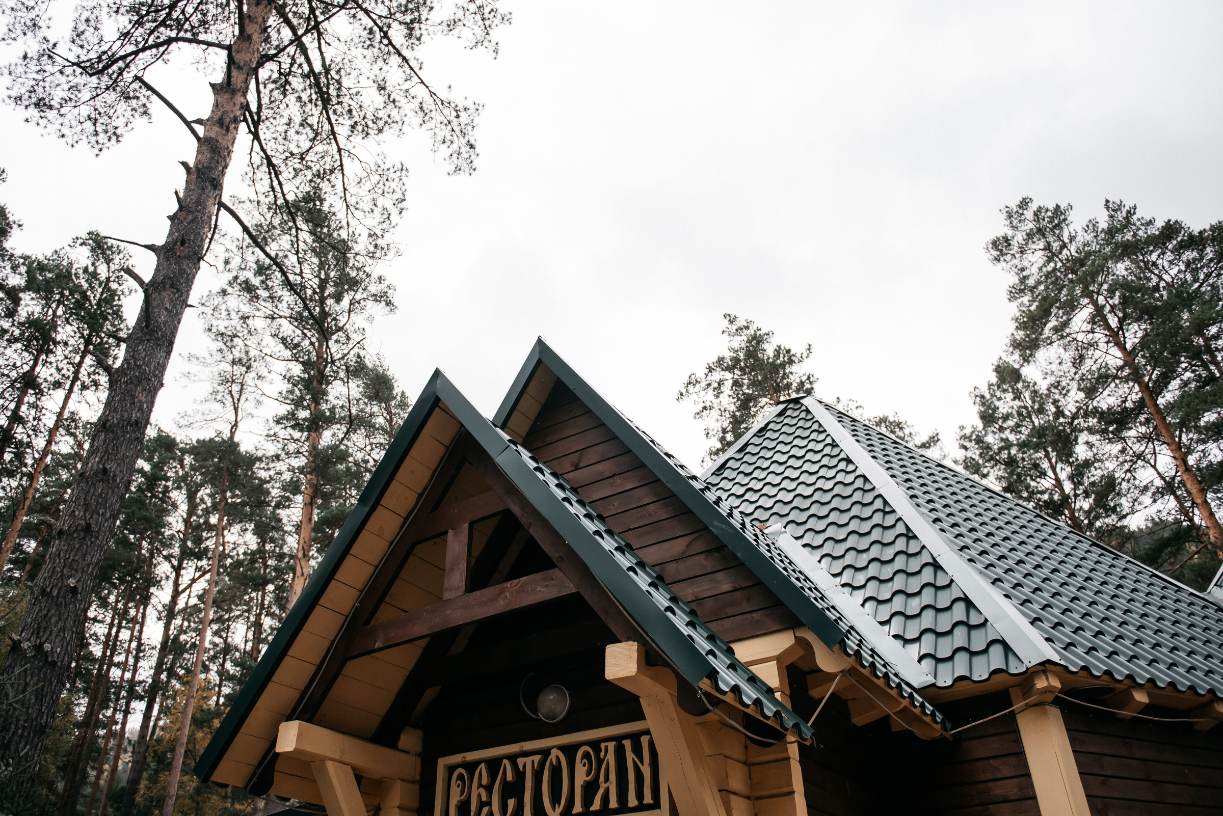 Серегей и Екатерина, Алтай. Свадебный фотограф Наталья Доронина