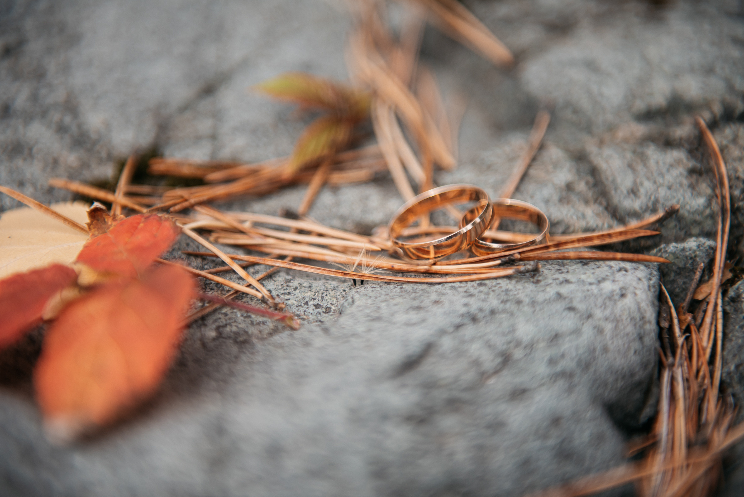 Серегей и Екатерина, Алтай. Свадебный фотограф Наталья Доронина