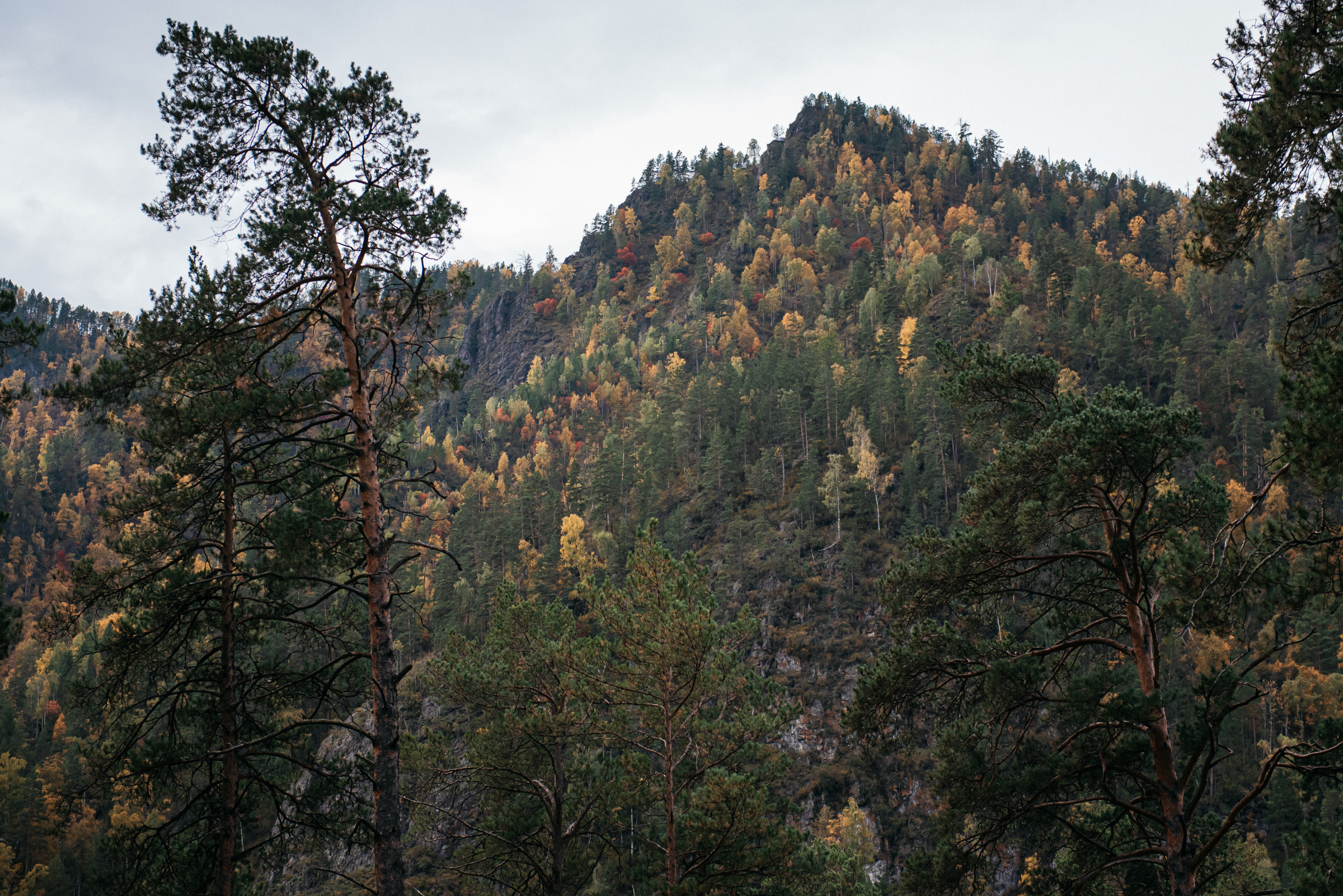 Серегей и Екатерина, Алтай. Свадебный фотограф Наталья Доронина