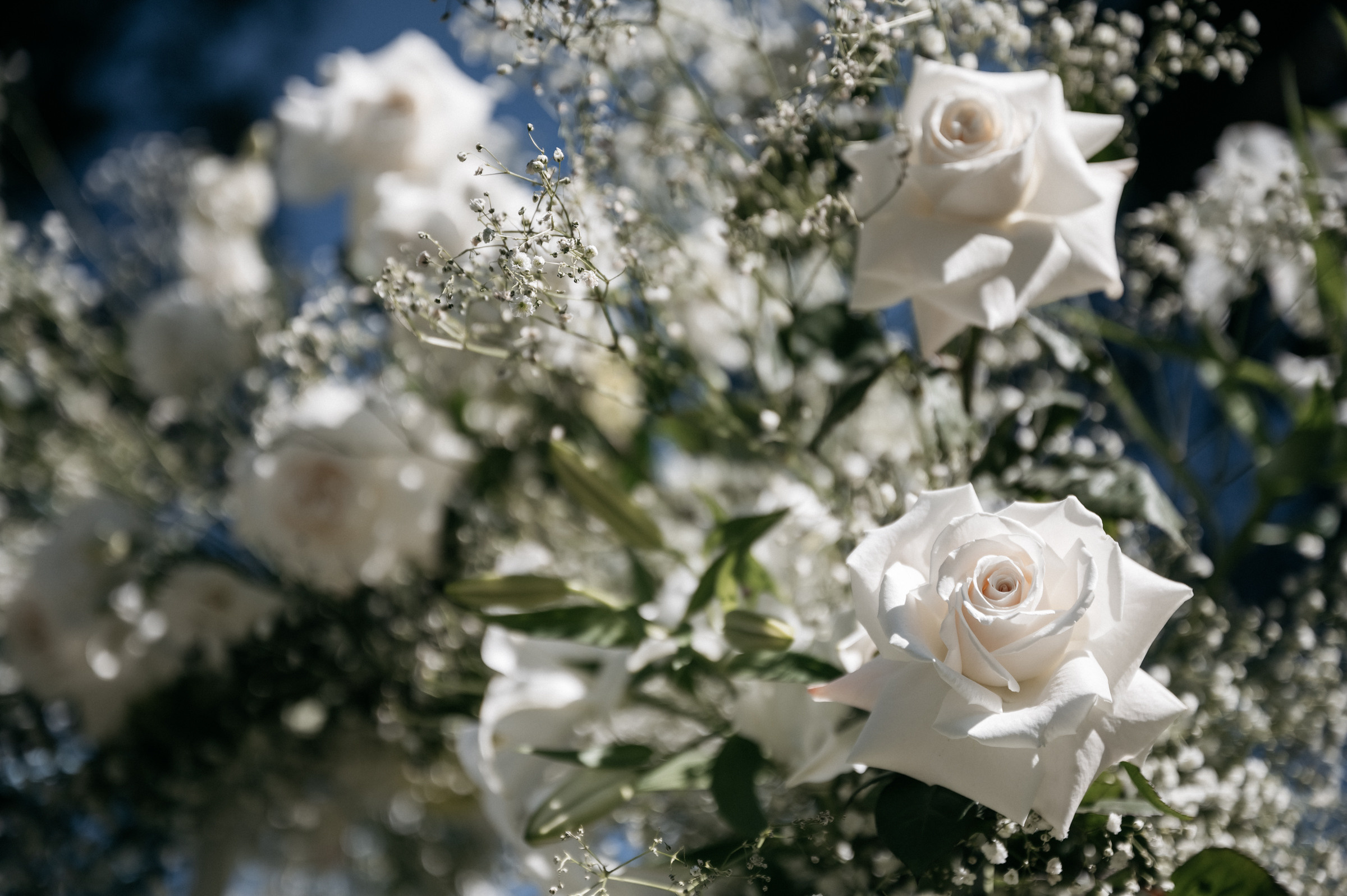 Свадебный фотограф Наталья Доронина