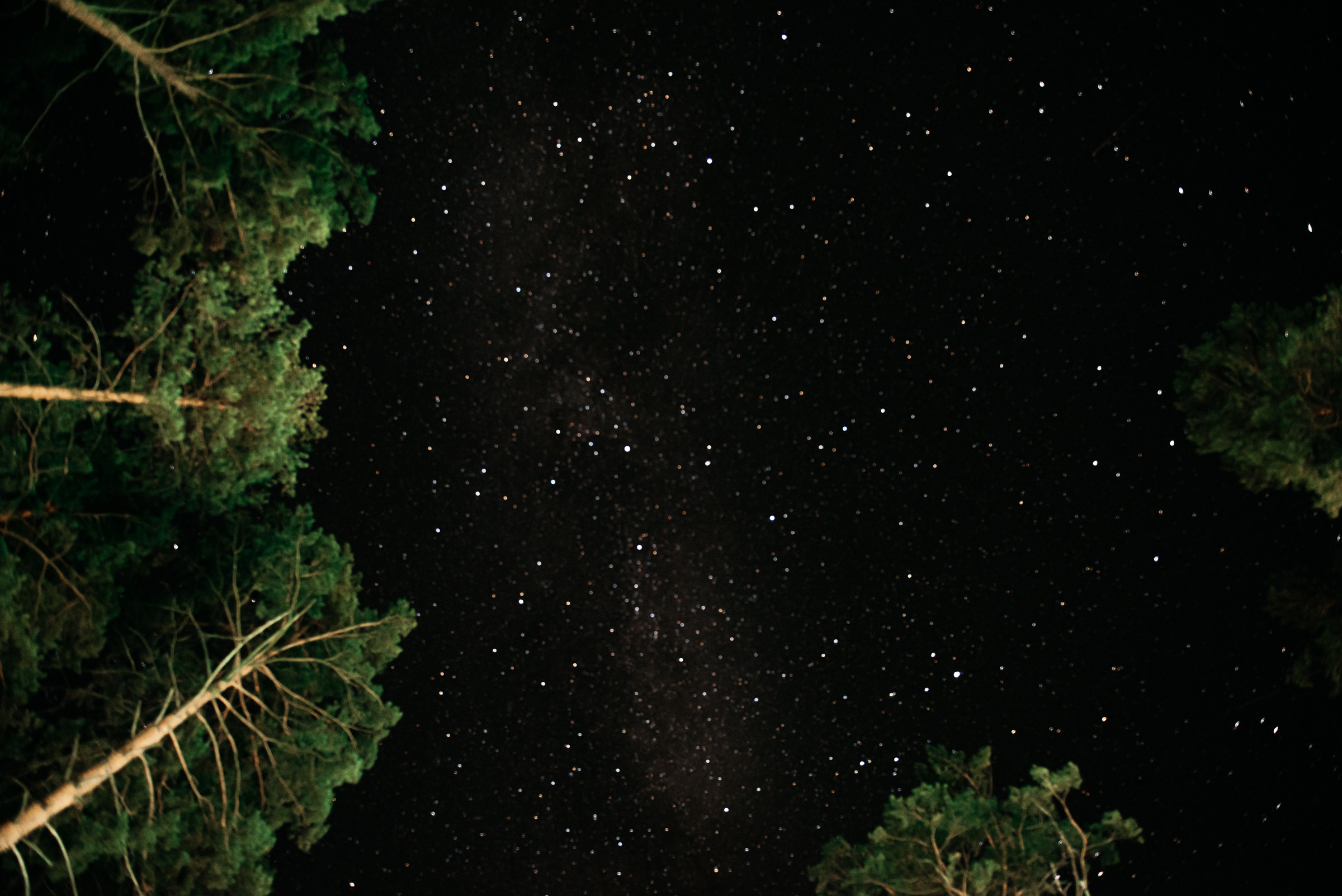 Серегей и Екатерина, Алтай. Свадебный фотограф Наталья Доронина