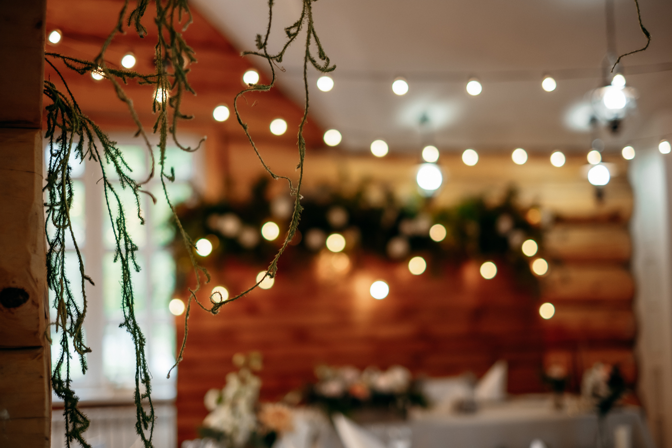 Герман и Анастасия, Алтай 2018. Свадебный фотограф Наталья Доронина