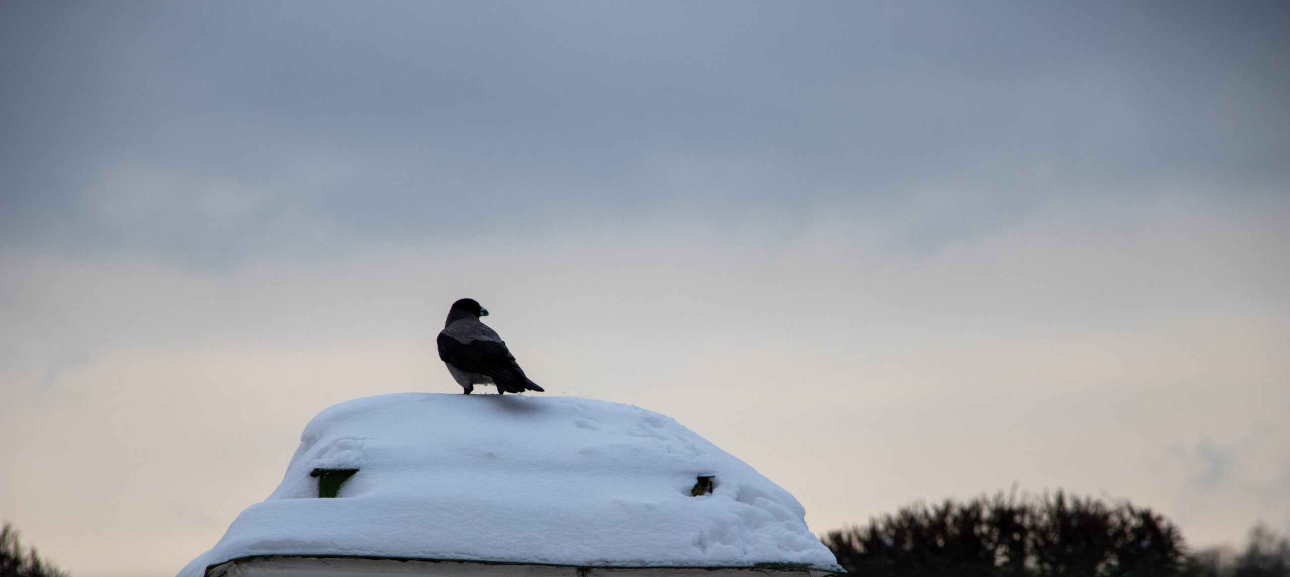 Природа, зверушки. Фотограф и кожевник Кирилл Удалов