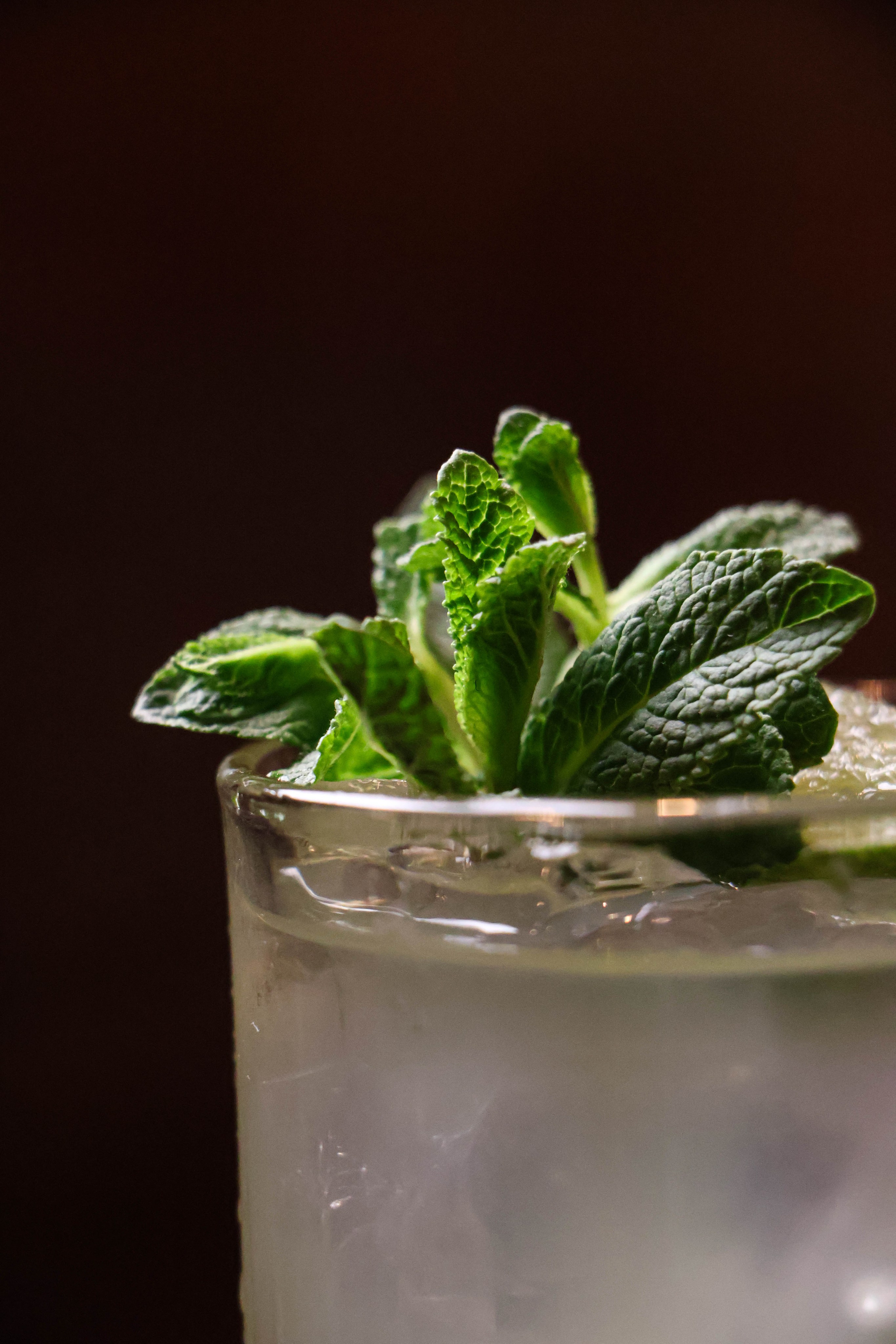 «Крыша» ресторан, г. Барнаул. Контент фотограф Дмитрий Борисов