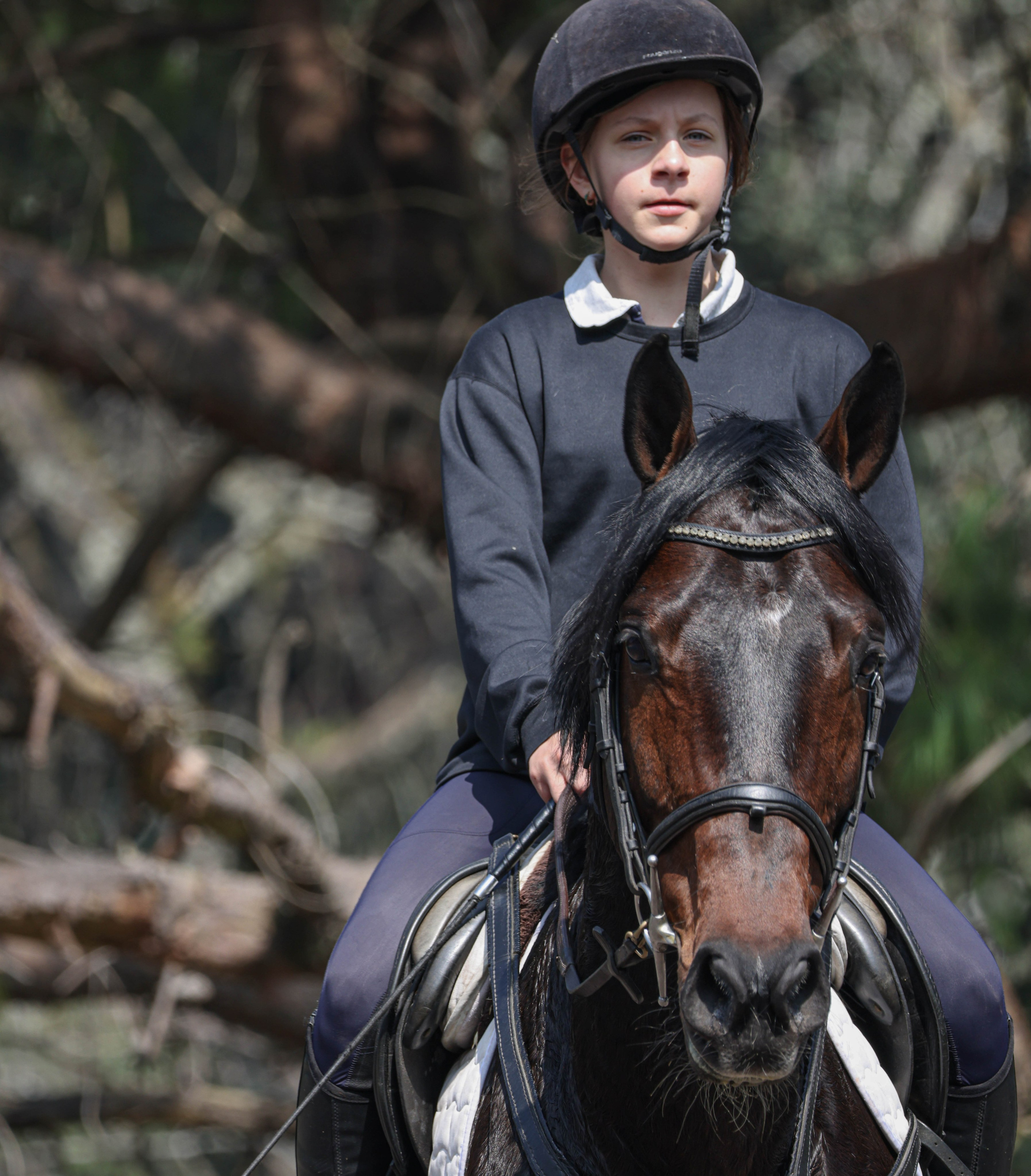 Лошади. Kateserbina