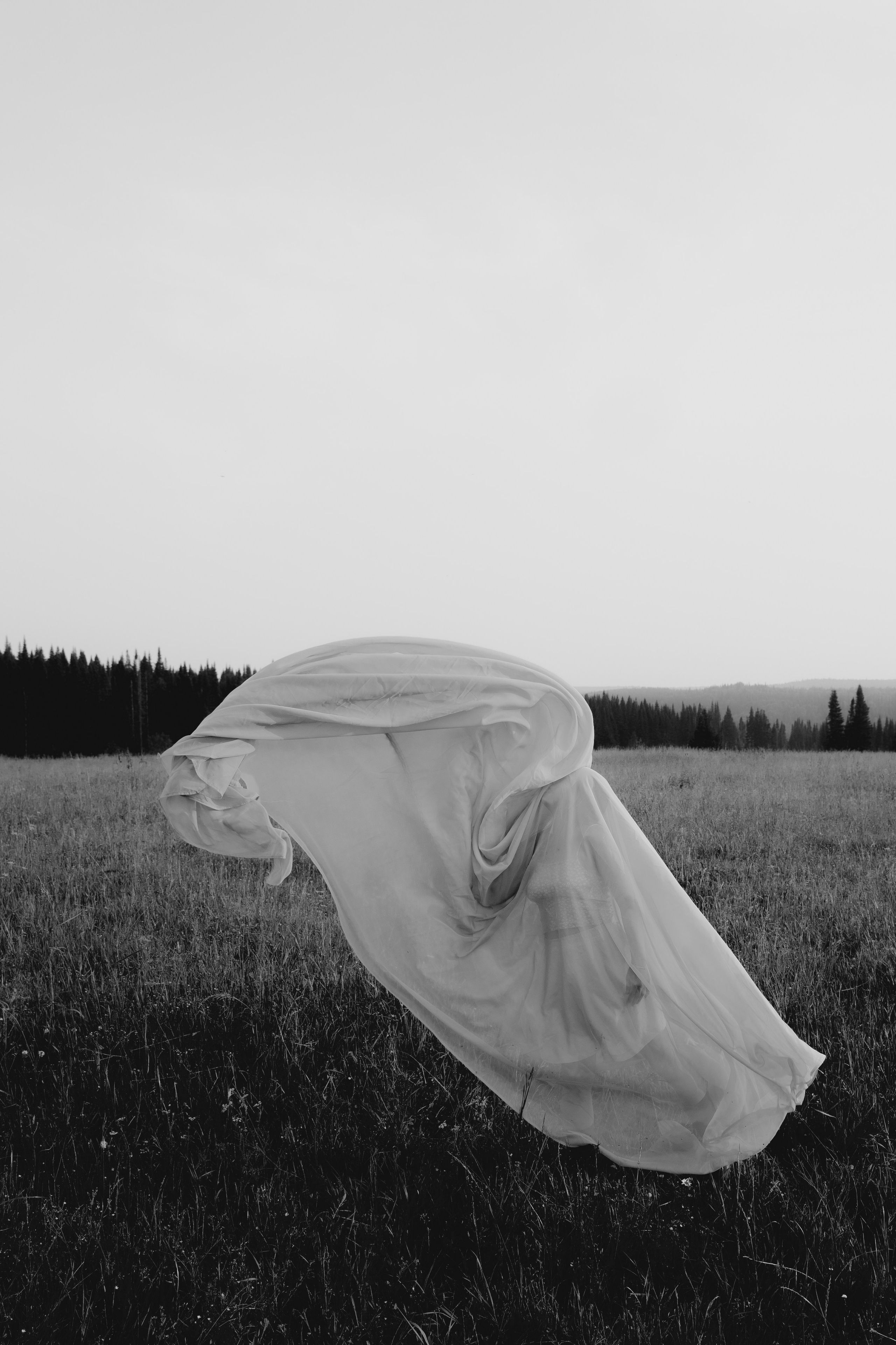 Красный беспредел в поле. Фотограф в Новосибирске Дмитрий Матвеев