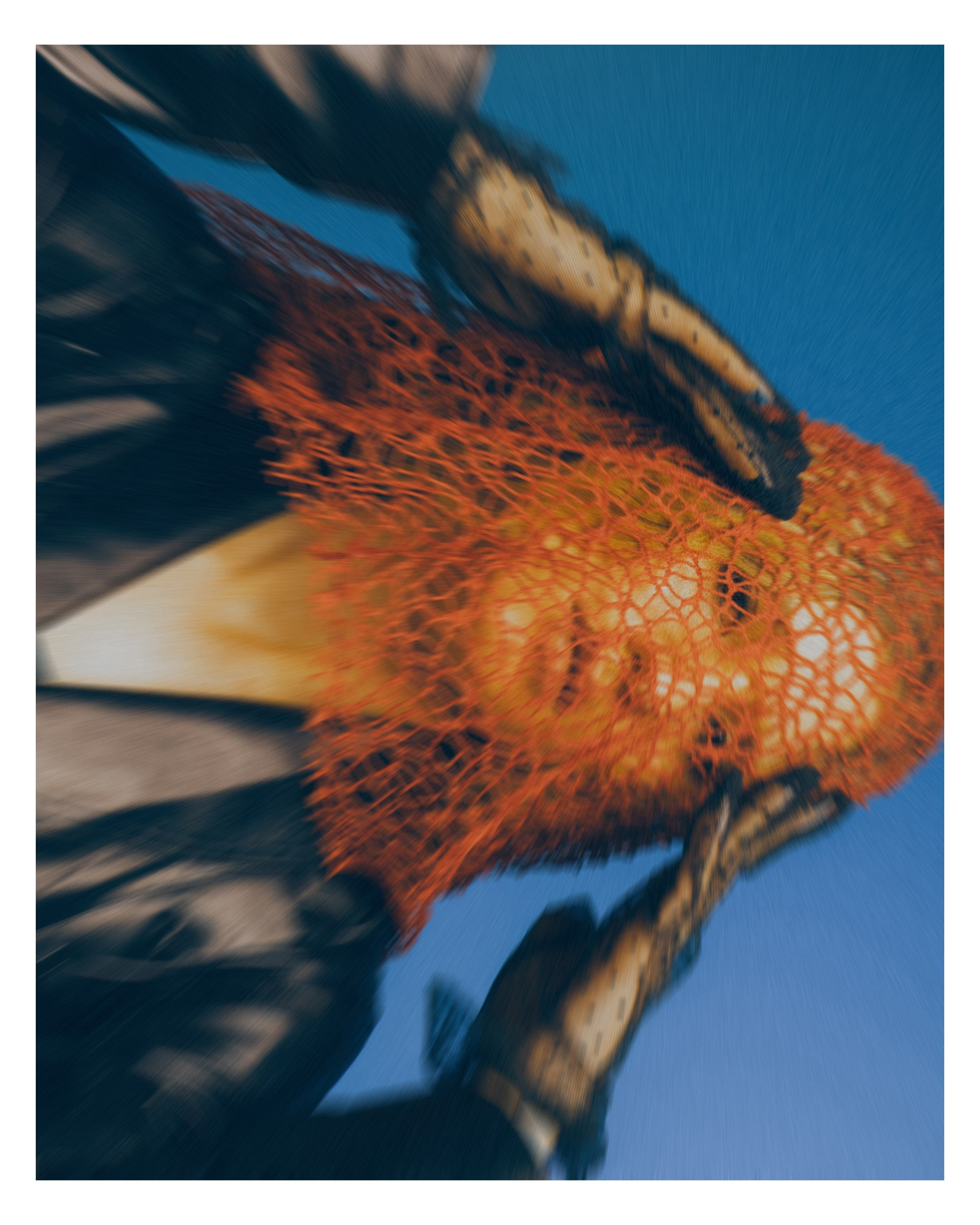 Лиза. Фотограф в Новосибирске Дмитрий Матвеев