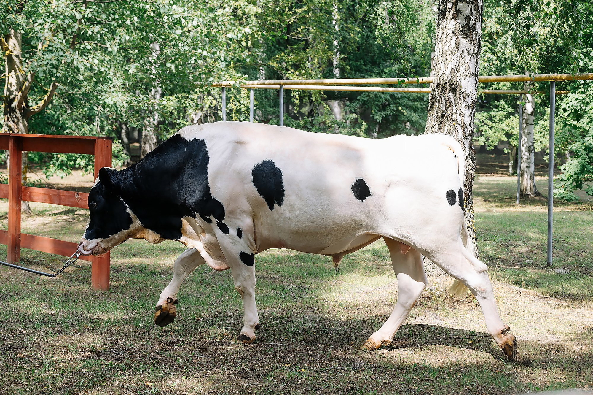 Репортаж. Профессиональный фотограф в Казани Ягудин Азат