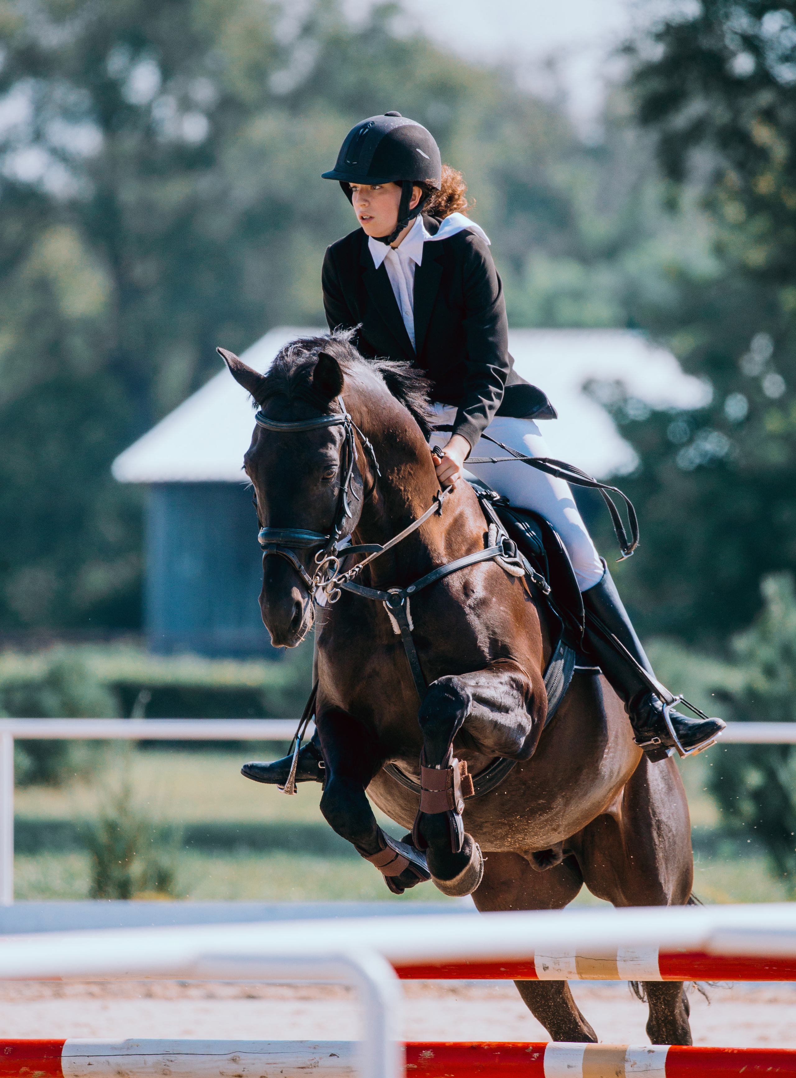 Отзывы. Фотограф-анималист Ксендзова Кристина