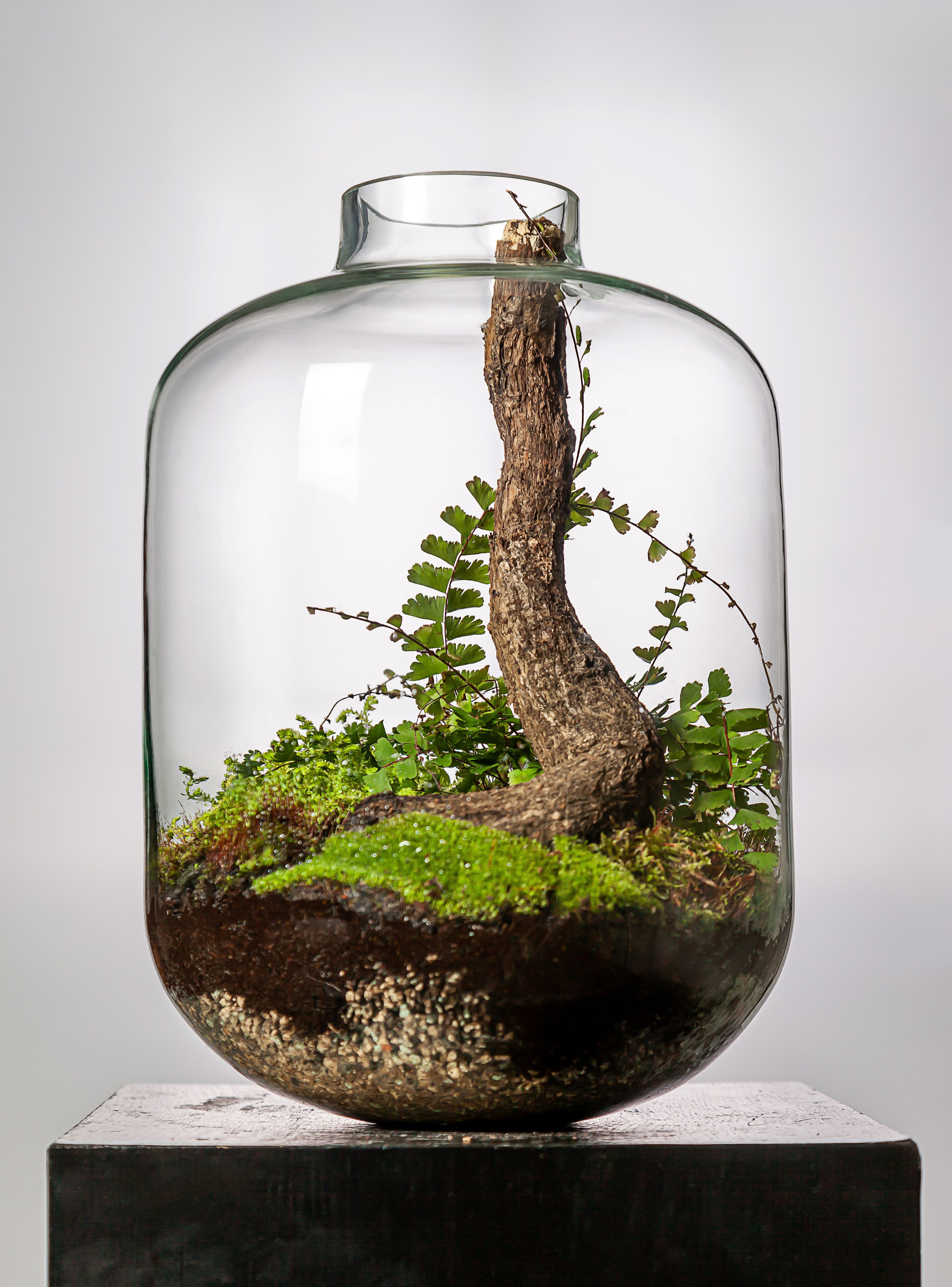 Phitidesigner Andrew Filonenko. Maria Poleshchuk, commercial photographer in Sydney