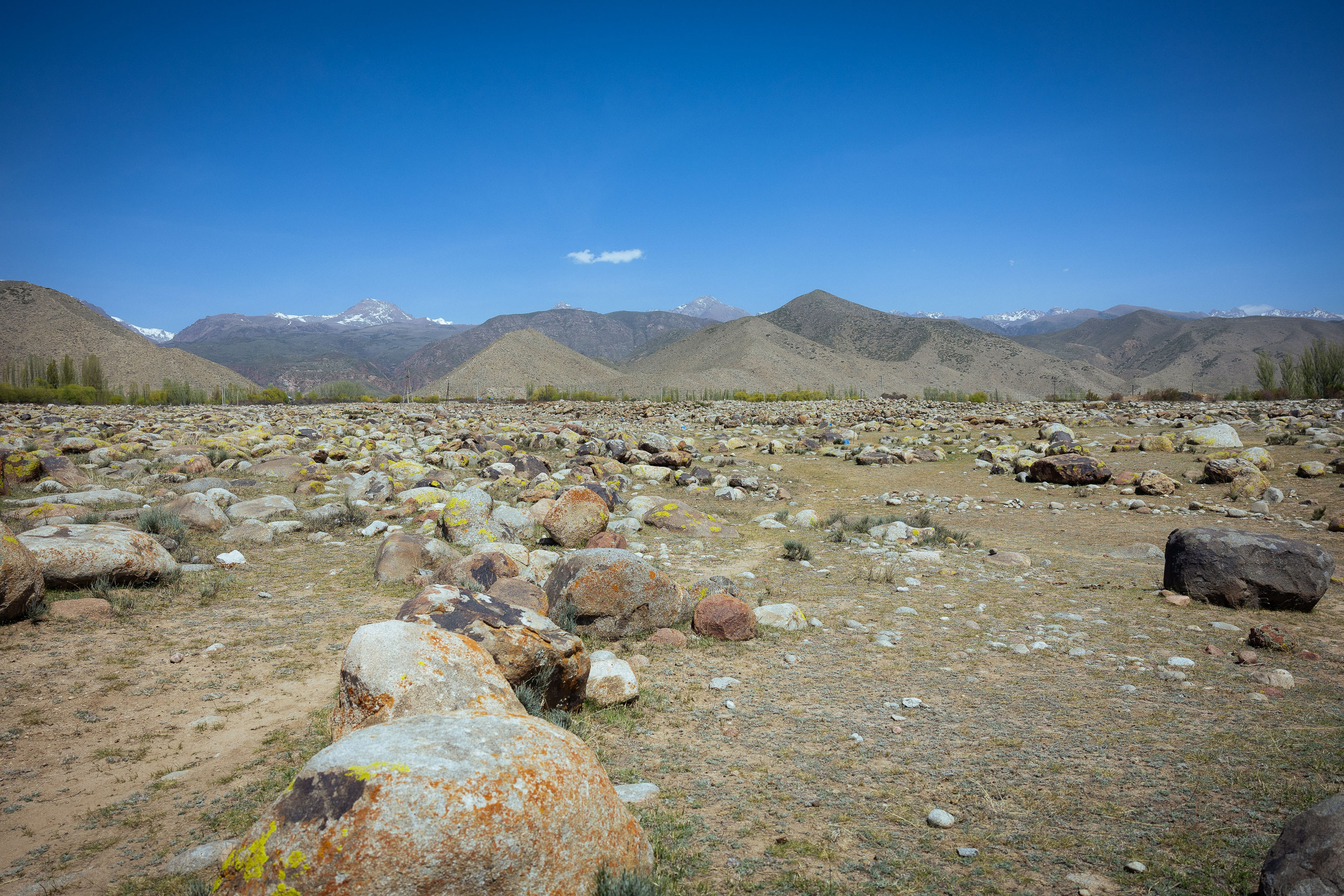 Кыргызстан (весна 2025). Фотограф Виноградов Константин