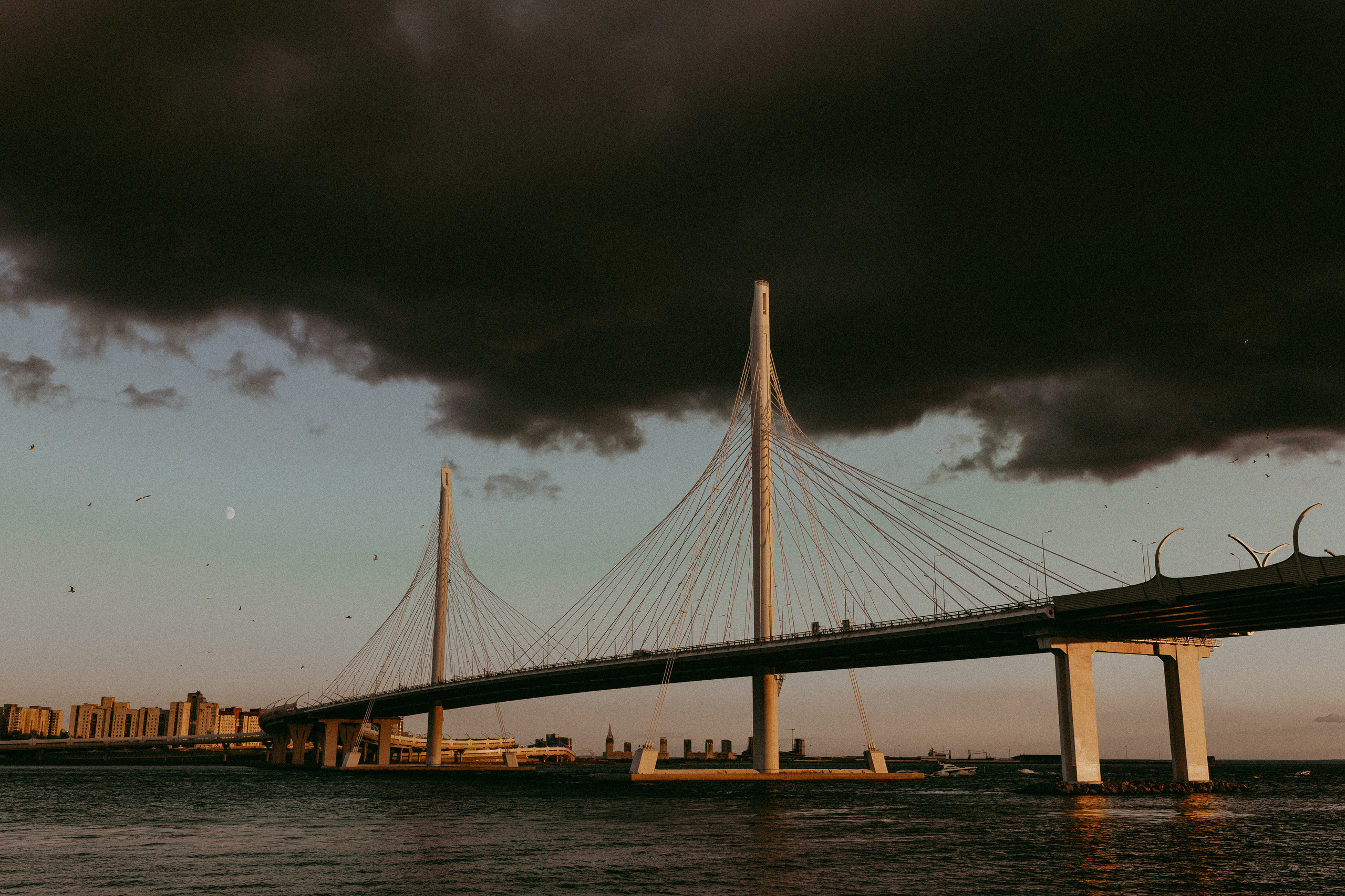 По стопам Тони Хоука. Свадебный и семейный фотограф в Санкт-Петербурге и Москве