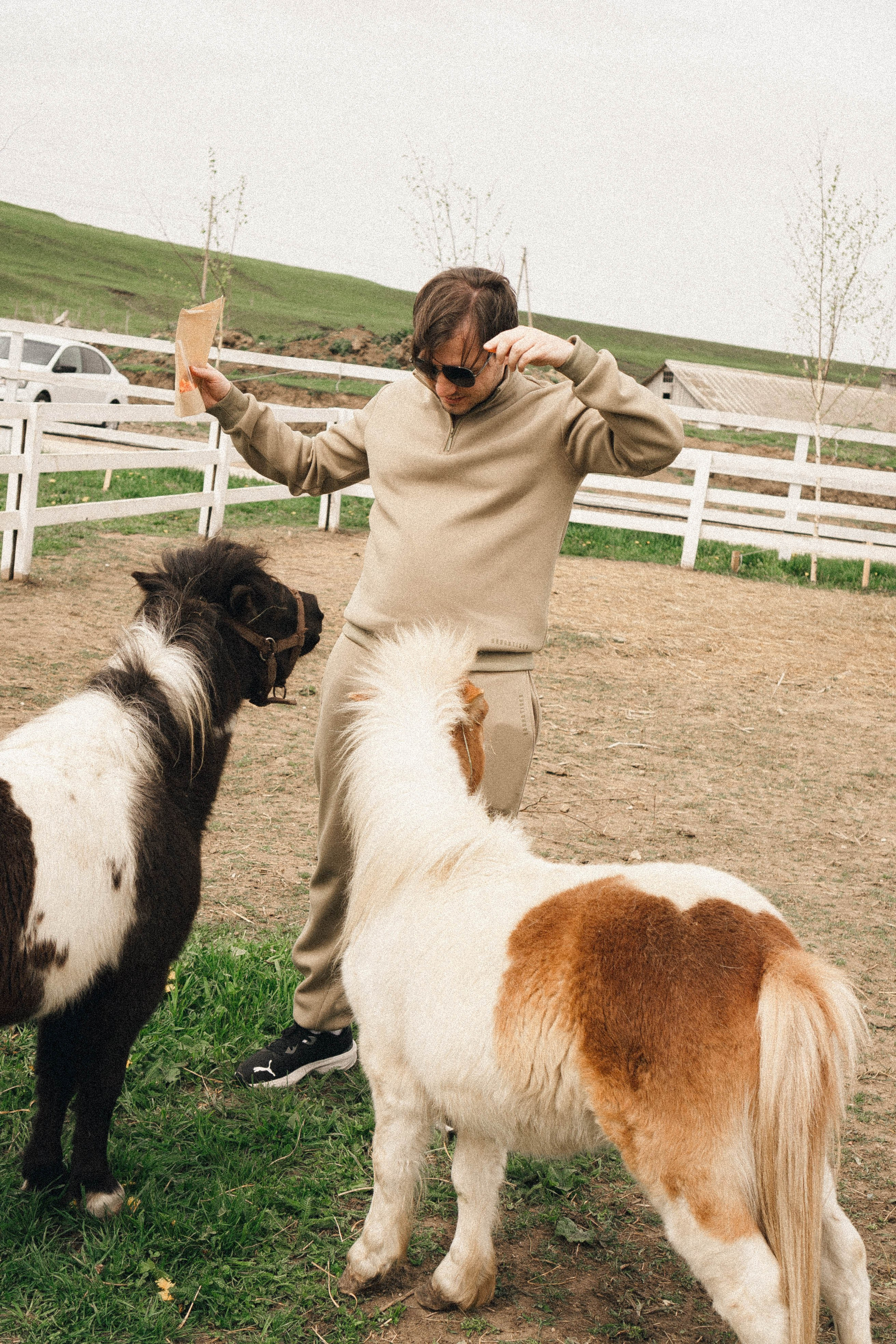 Ферма Альпак. Профессиональный фотограф, Санкт-Петербург — Виктория Богомолова