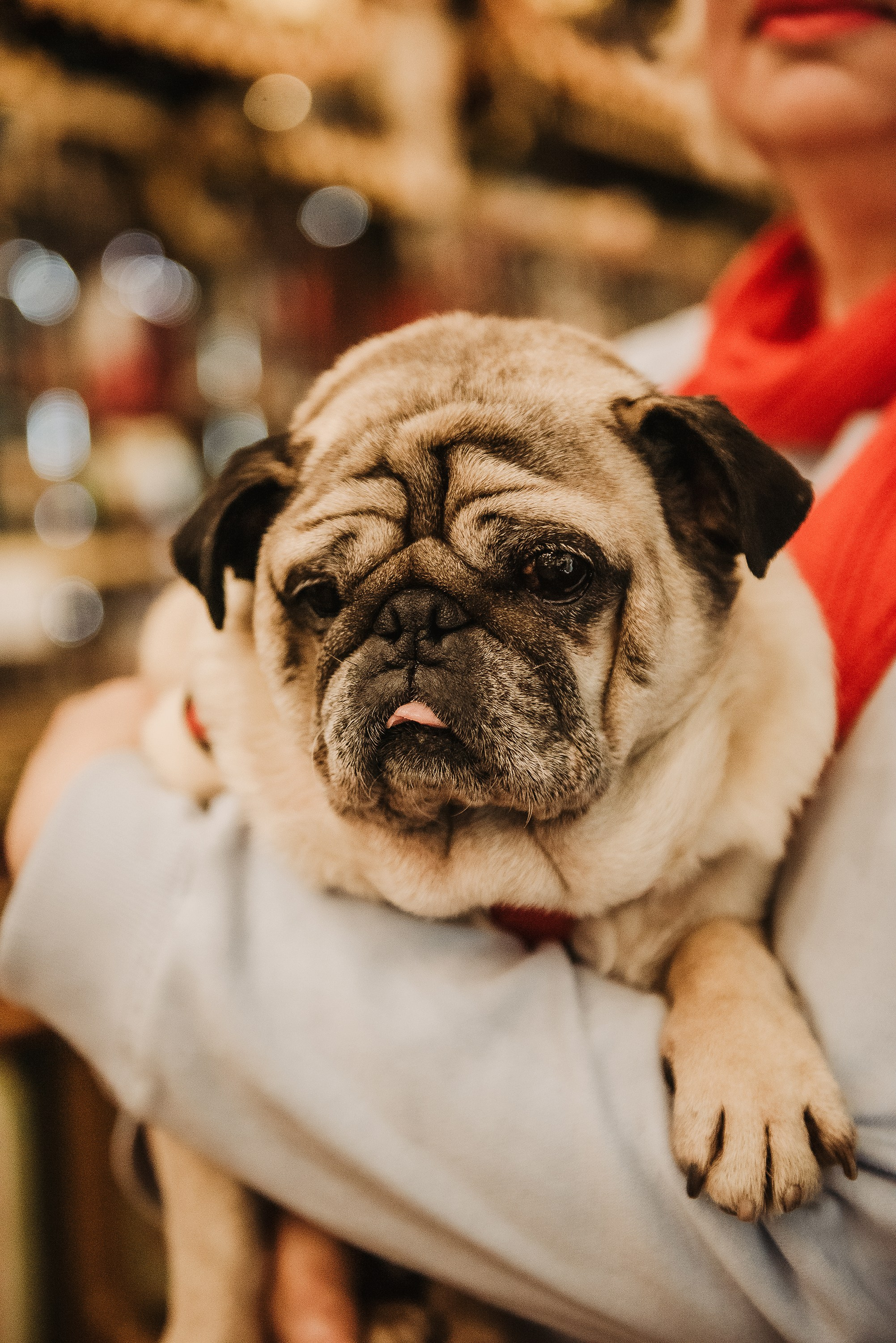 Ольга и Потапум. Прогулка к чайному дому. Семейный Фотограф в Москве Ирина Хохлова