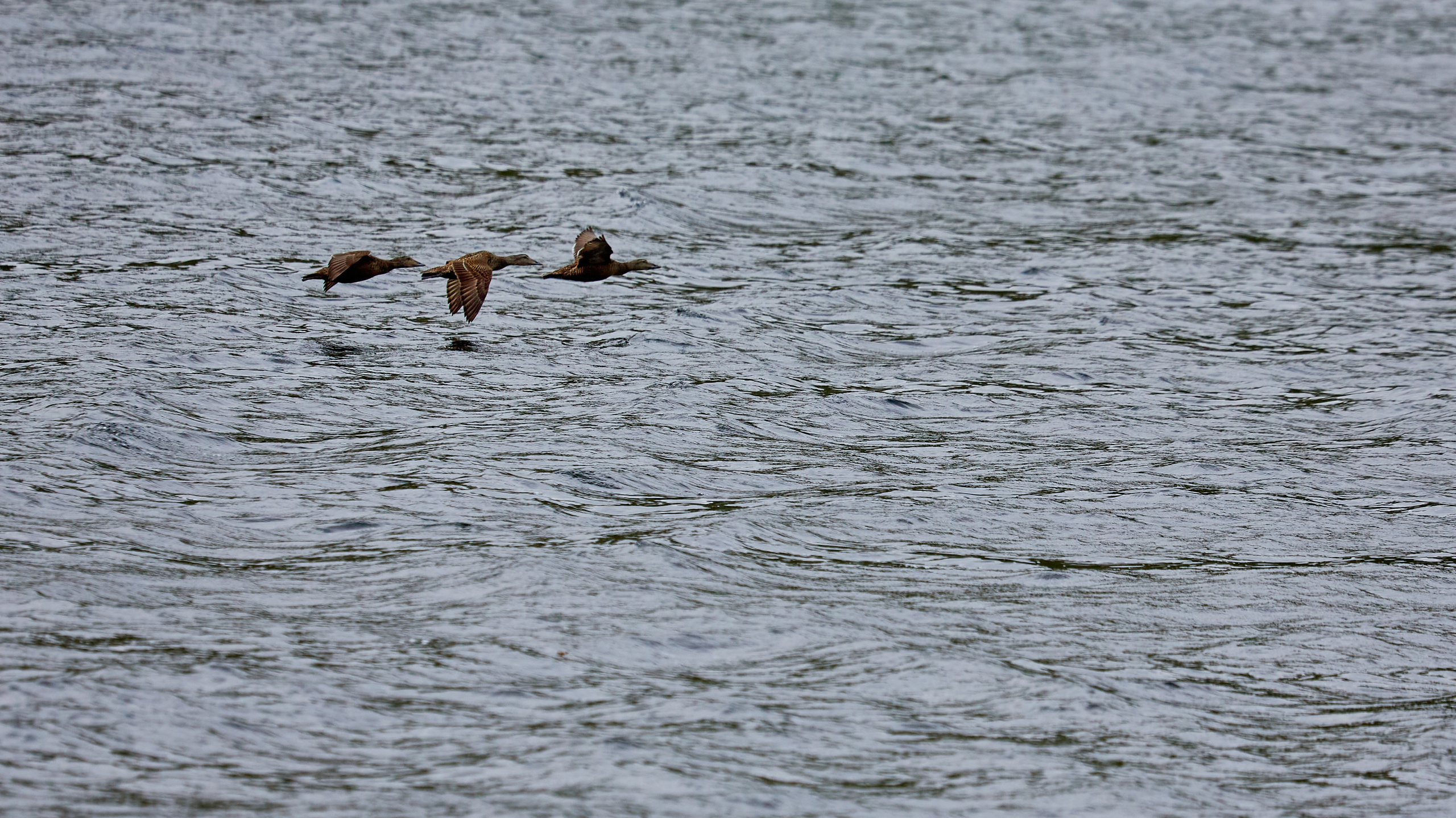 Баренцево море. Пейзажи Крайнего Севера. Баренцево море, Рыбачий, Средний, Немецкий