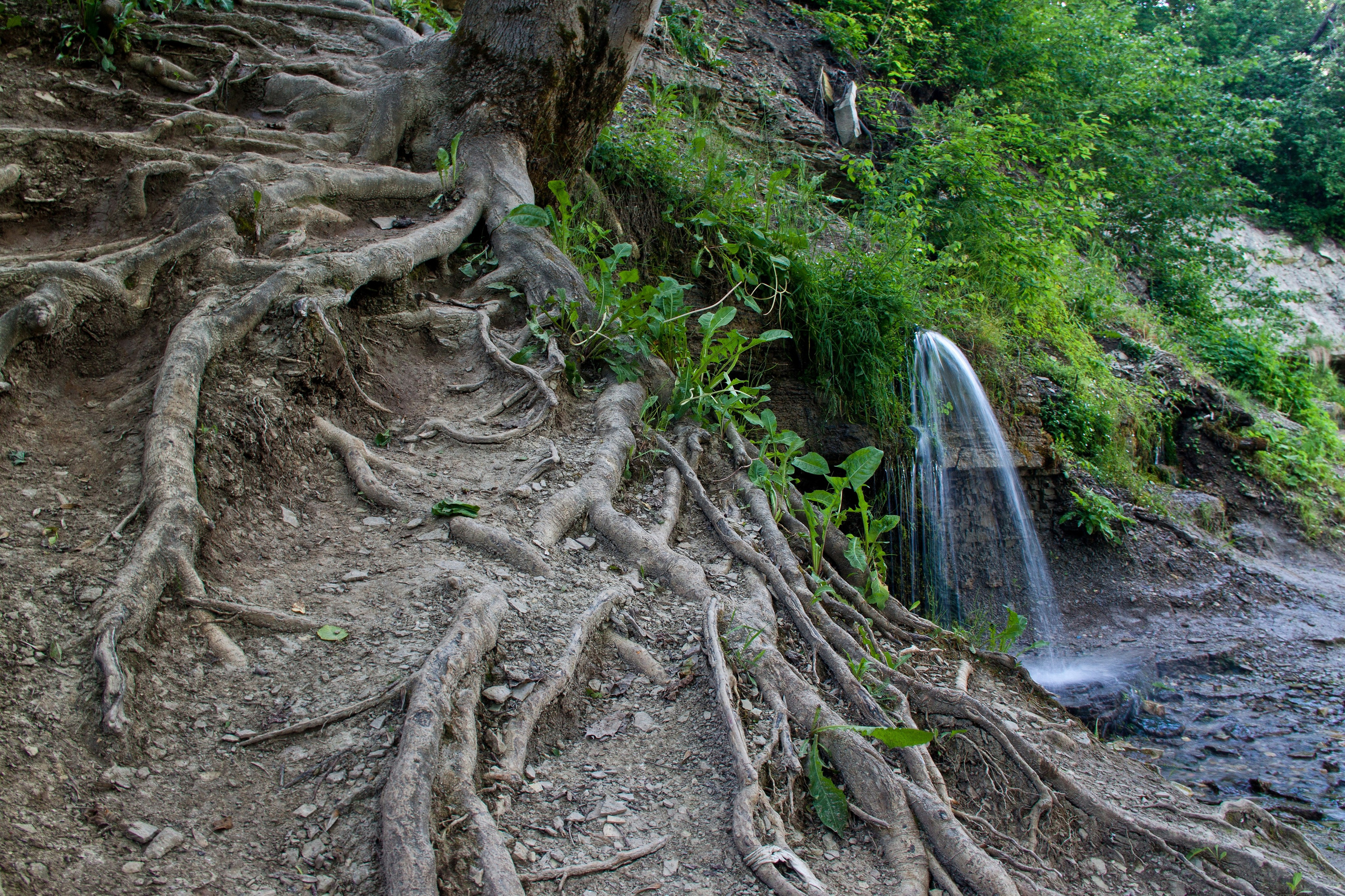 Псковщина. Пейзажи Крайнего Севера. Баренцево море, Рыбачий, Средний, Немецкий