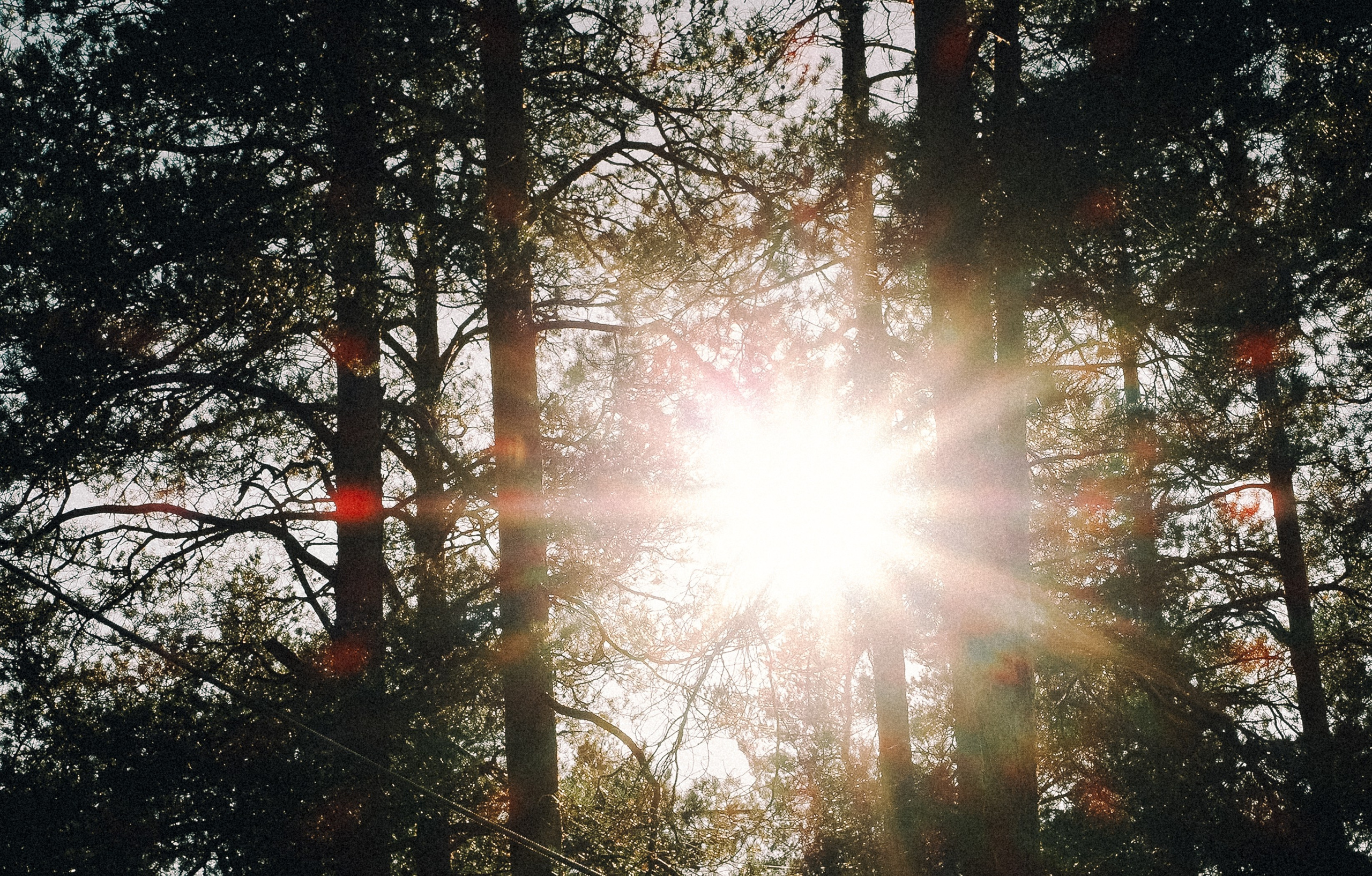 Владислав & Марина. ФОТОГРАФ РОЗА ФИЛИНА СПб I МОСКВА