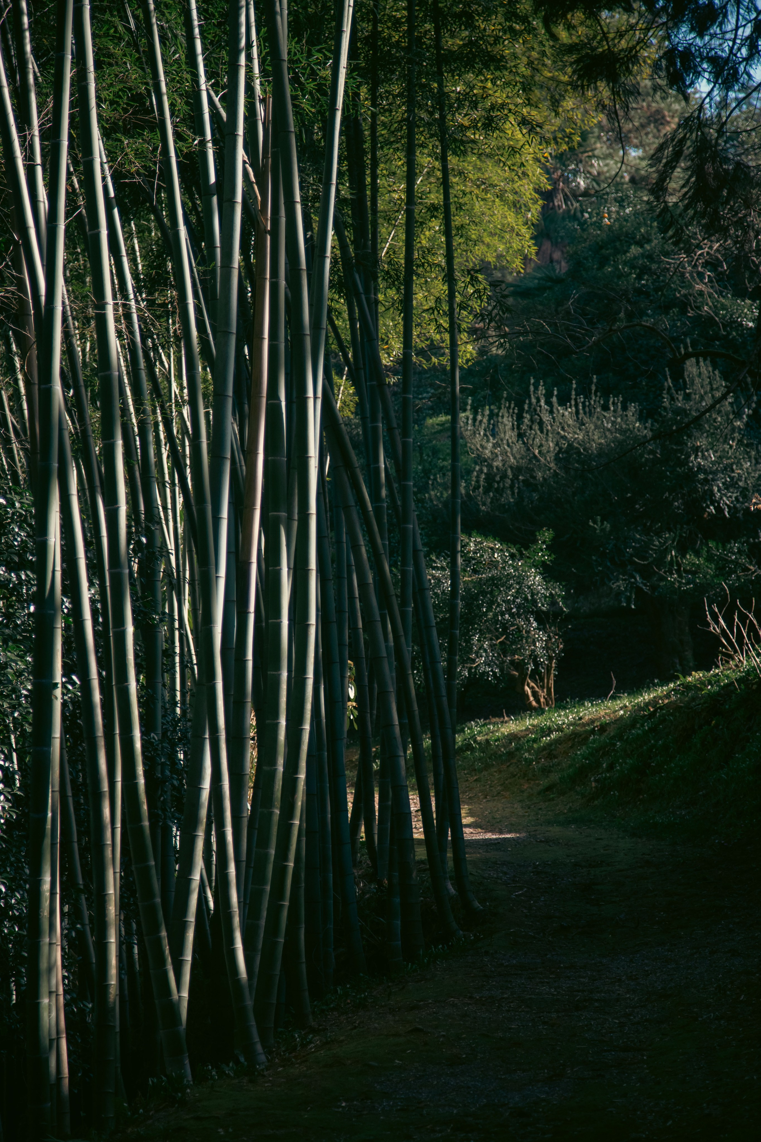 Batumi. Dmitriy [KCCC] is a pretty cool photographer