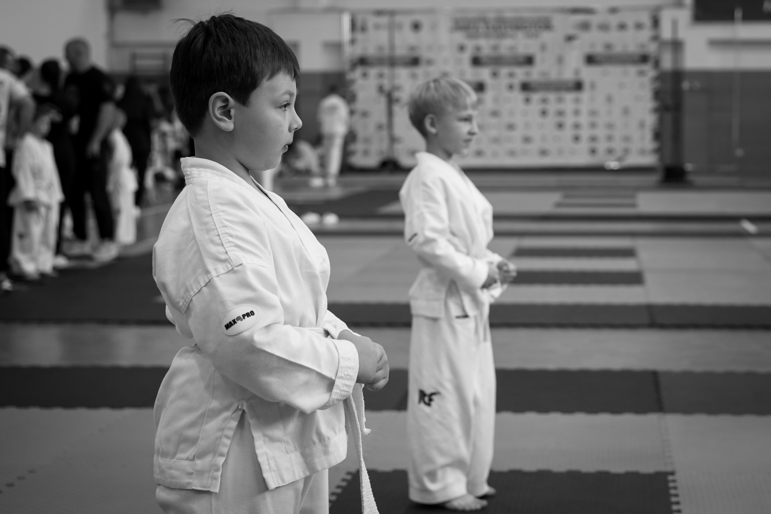 Тхэквандо — соревнования. Выпускные альбомы Натальи Бутко: Новороссийск, Анапа, Геленджик