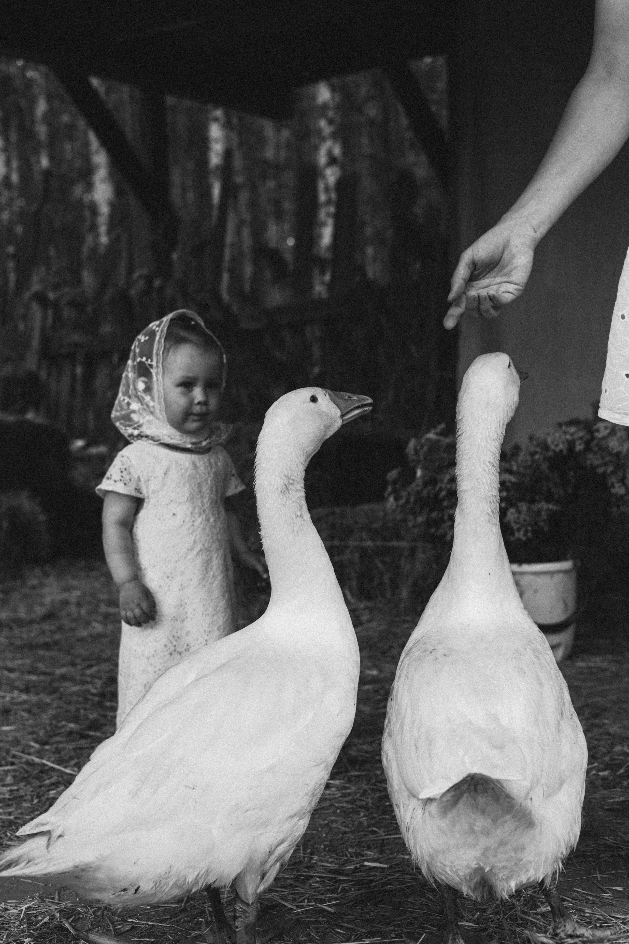 Полина+Есения. Фотограф в Екатеринбурге Селиверстова Екатерина