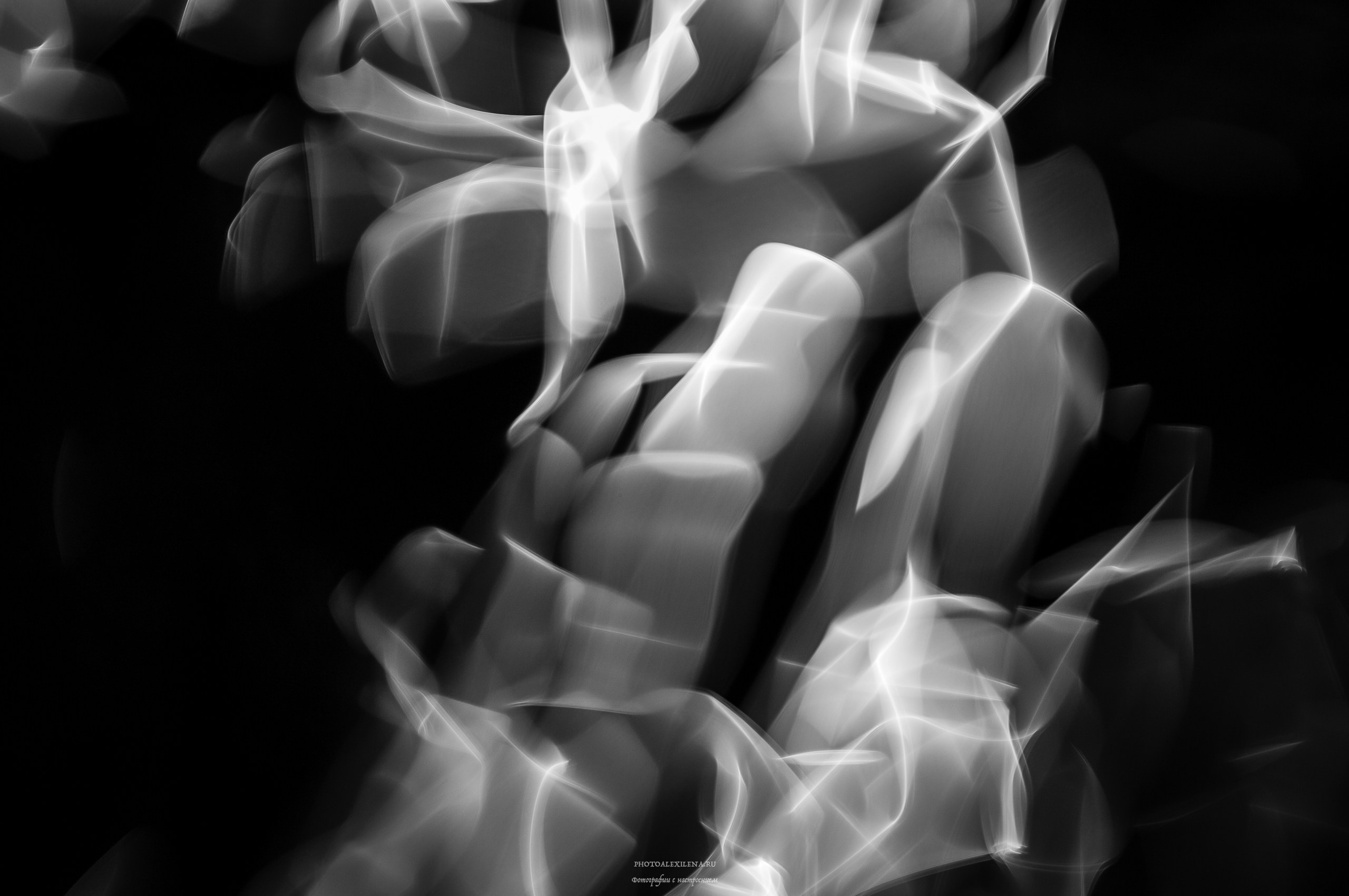 Отражение в воде. Авторские стильные фотокартины