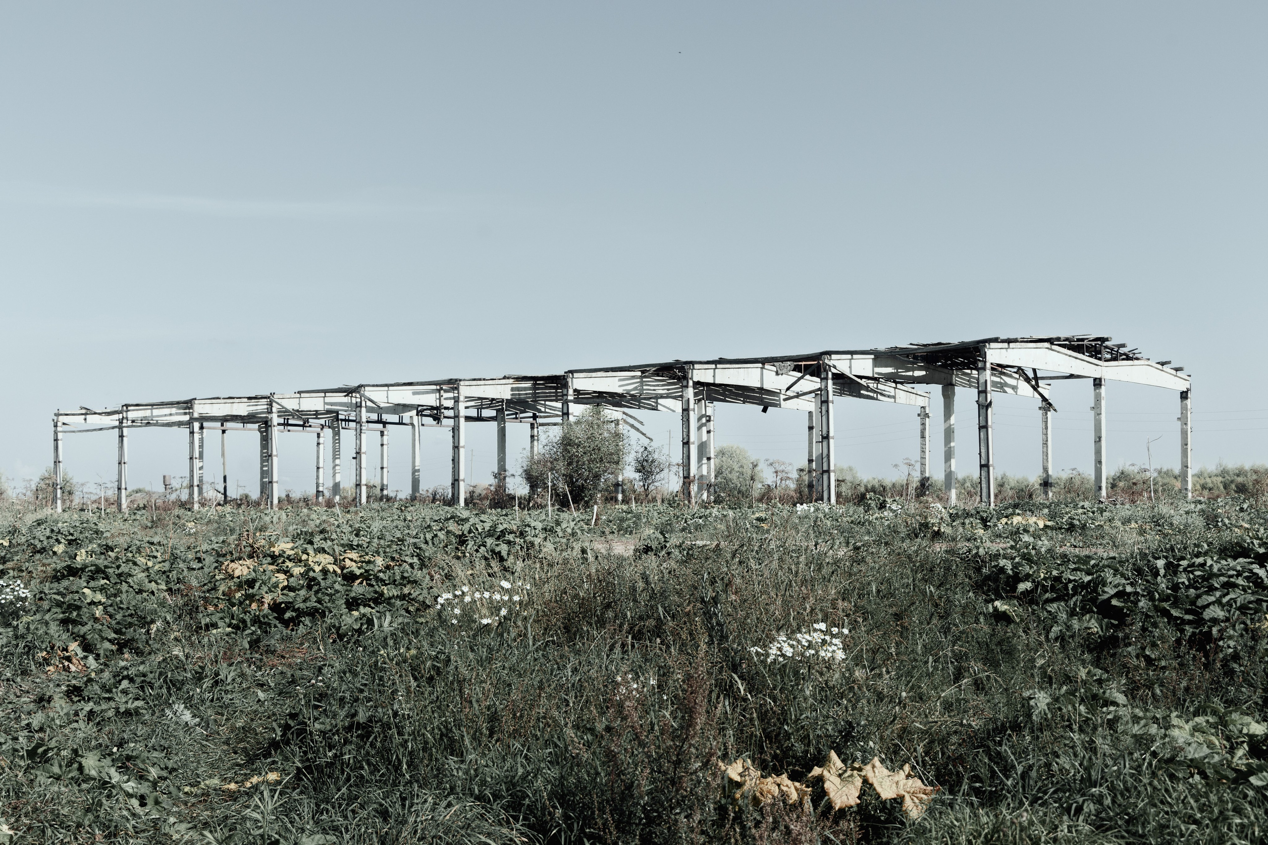 Природа. Фотограф Александр Тихонов