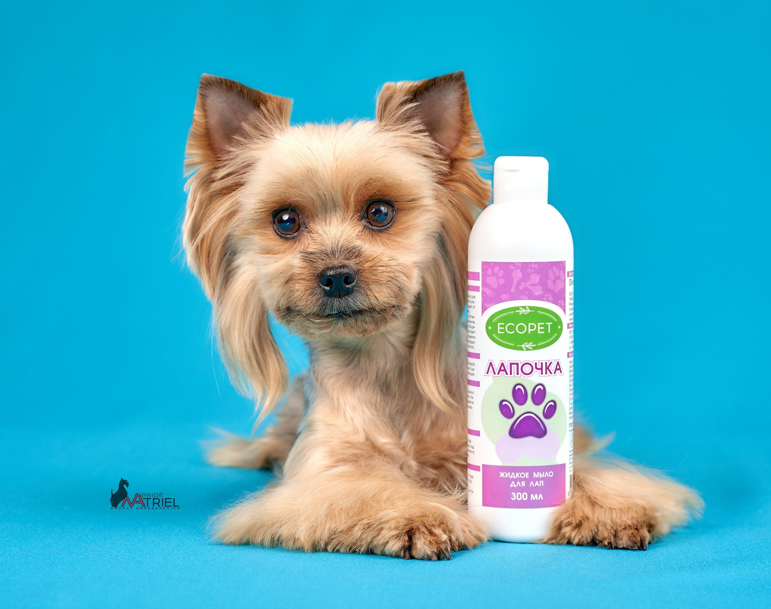 Реклама с животными — галерея NATRIEL