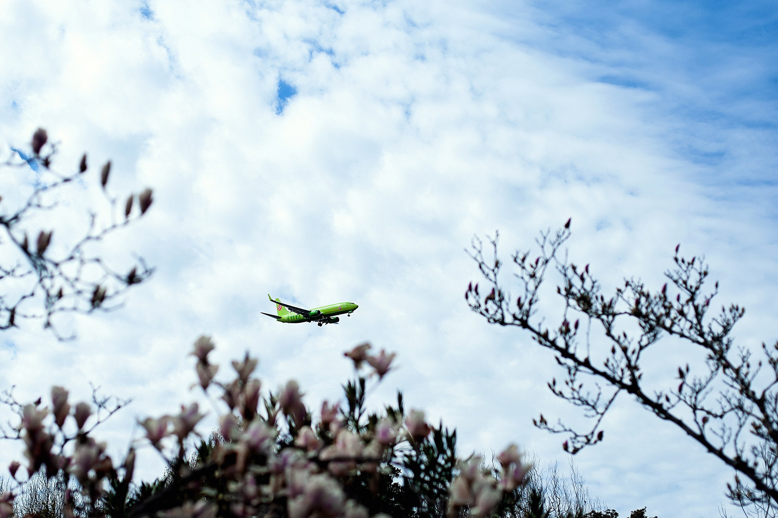 Ясмина!. Фотограф новорожденных в Брянске Анжелика Прохоренкова